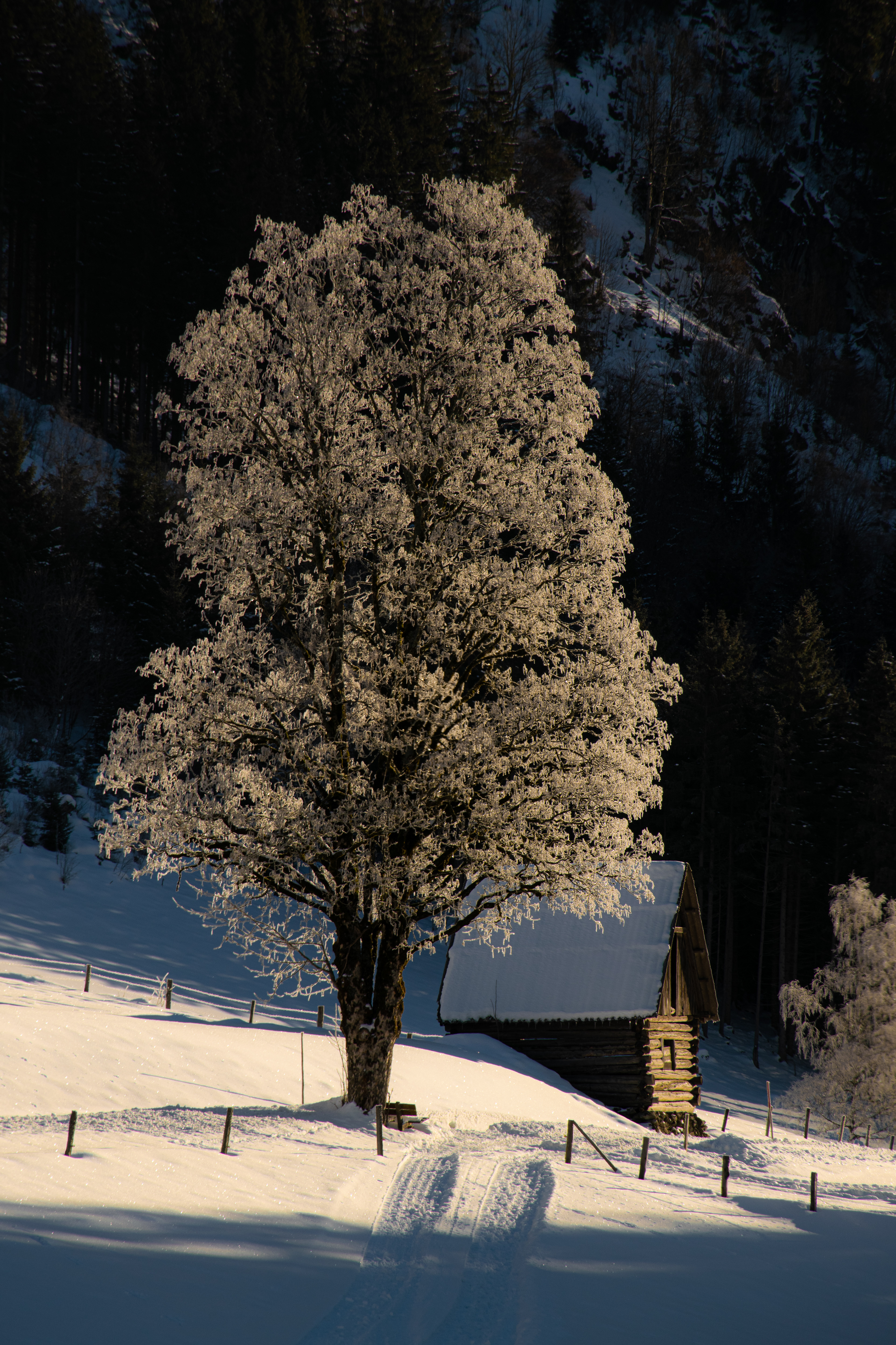 Somewhere near Schladming • Steiermark, Austria • NikonD5300 140mm f/13 1/250 ISO100