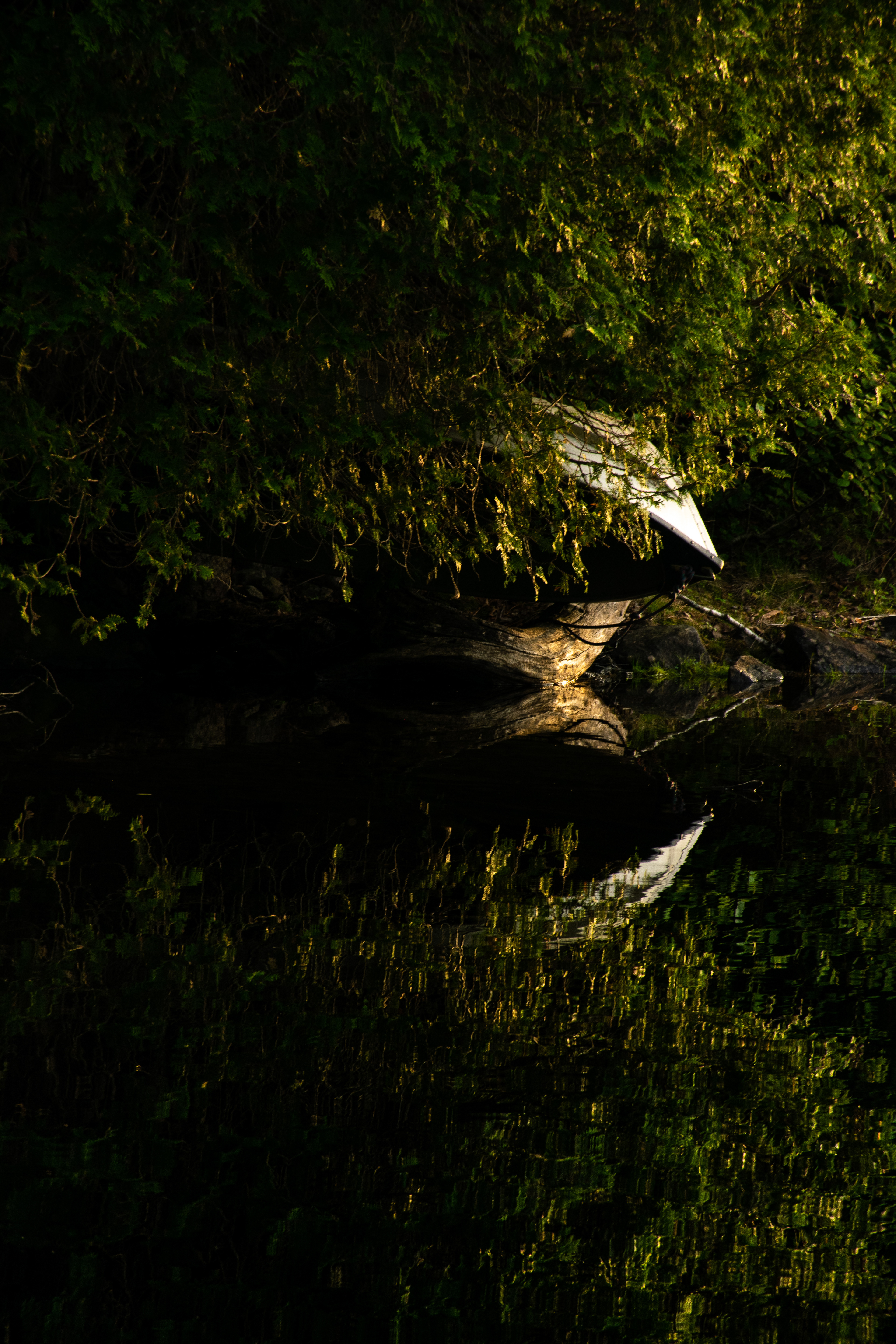 Lac Boisseau • Laurentides, Quebec, Canada • NikonD5300 140mm f/9 1/80 ISO100