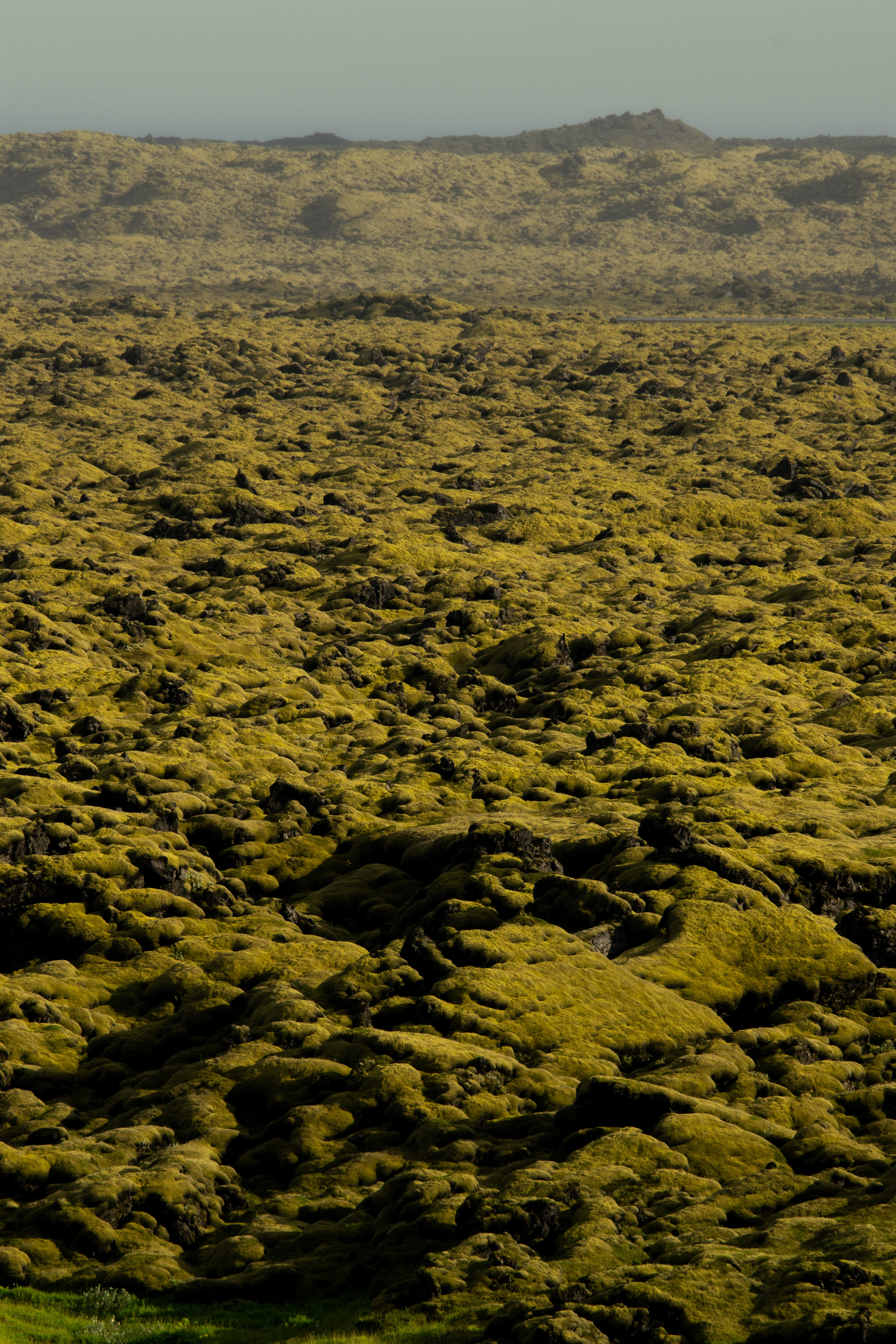 Moss Fields on the South Coast • Iceland • NikonD5300 400mm f/13 1/200 ISO100