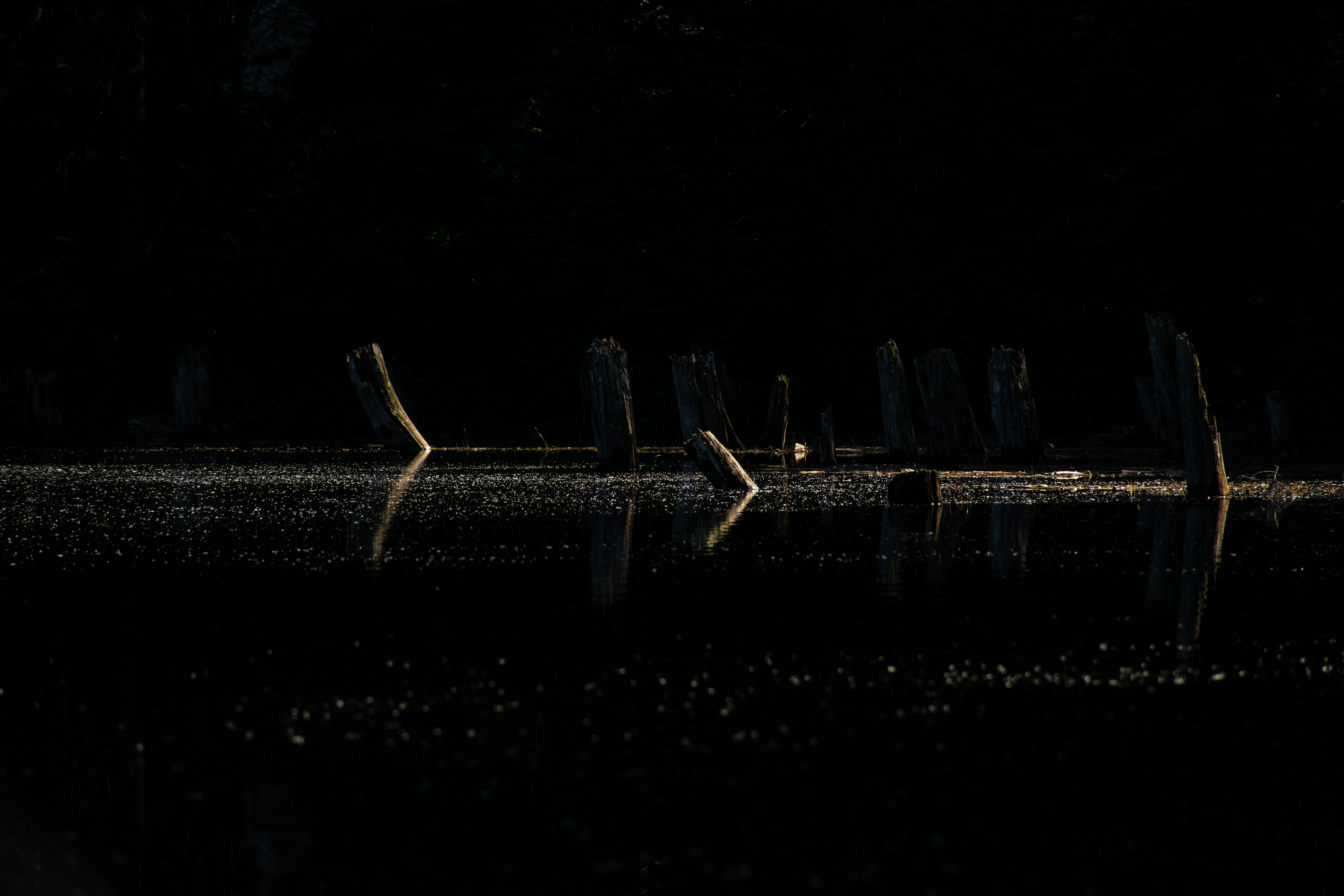 45°5'10"N, 72°32'9"W • Lac Spruce • Sutton, Estrie, Quebec • NikonD5300 140mm f/9 1/500 ISO100