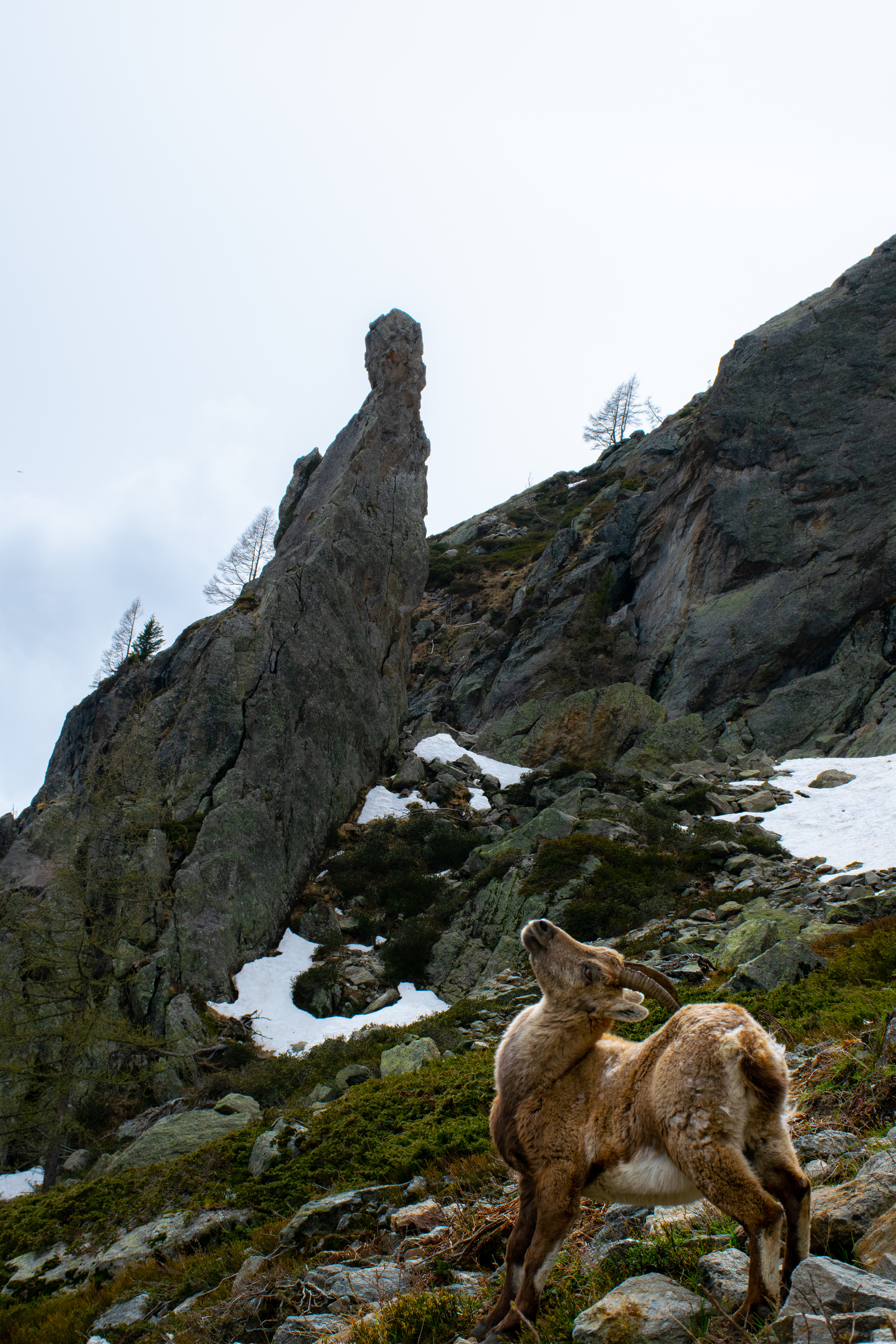 Aiguillette d'Argentière • Aiguilles Rouges, Chamonix, France • NikonD5300 45mm f/11 1/500 ISO100