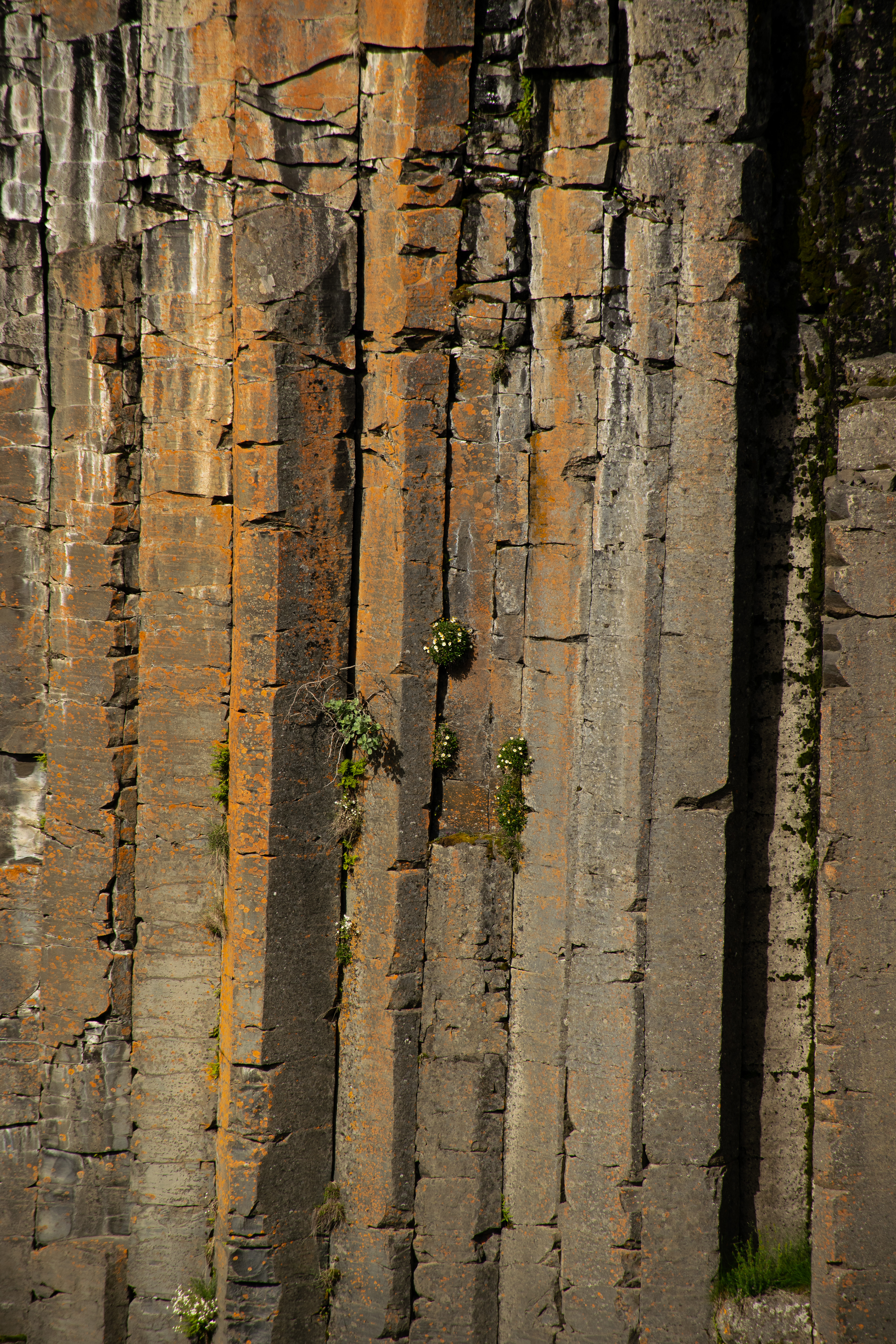 Colonnes basaltiques du canyon de Stuðlagil