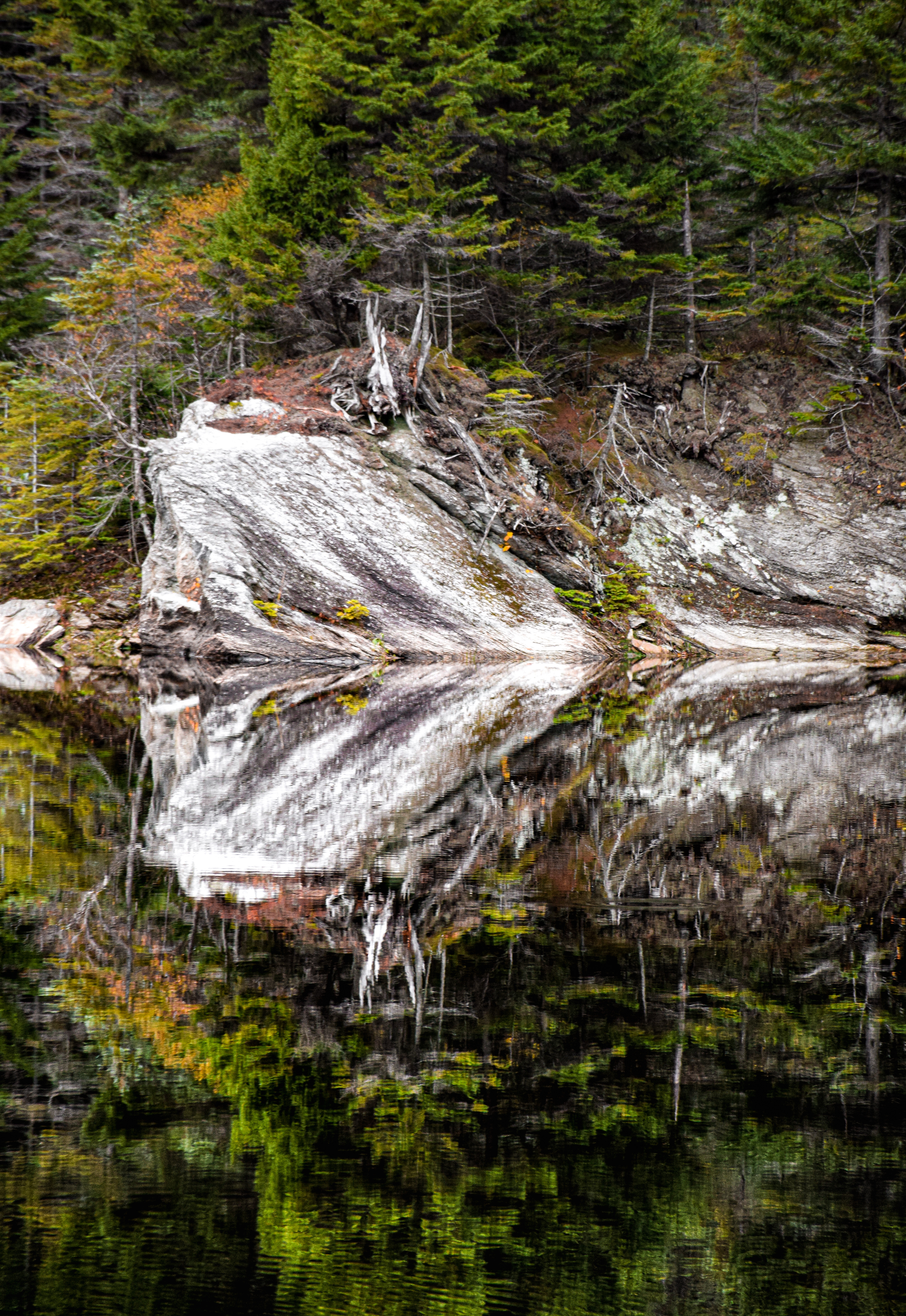 45°5'17"N, 72°32'17"W • Lac Vogel • Sutton, Estrie, Quebec • NikonD5300 140mm f/5.6 1/250 ISO100