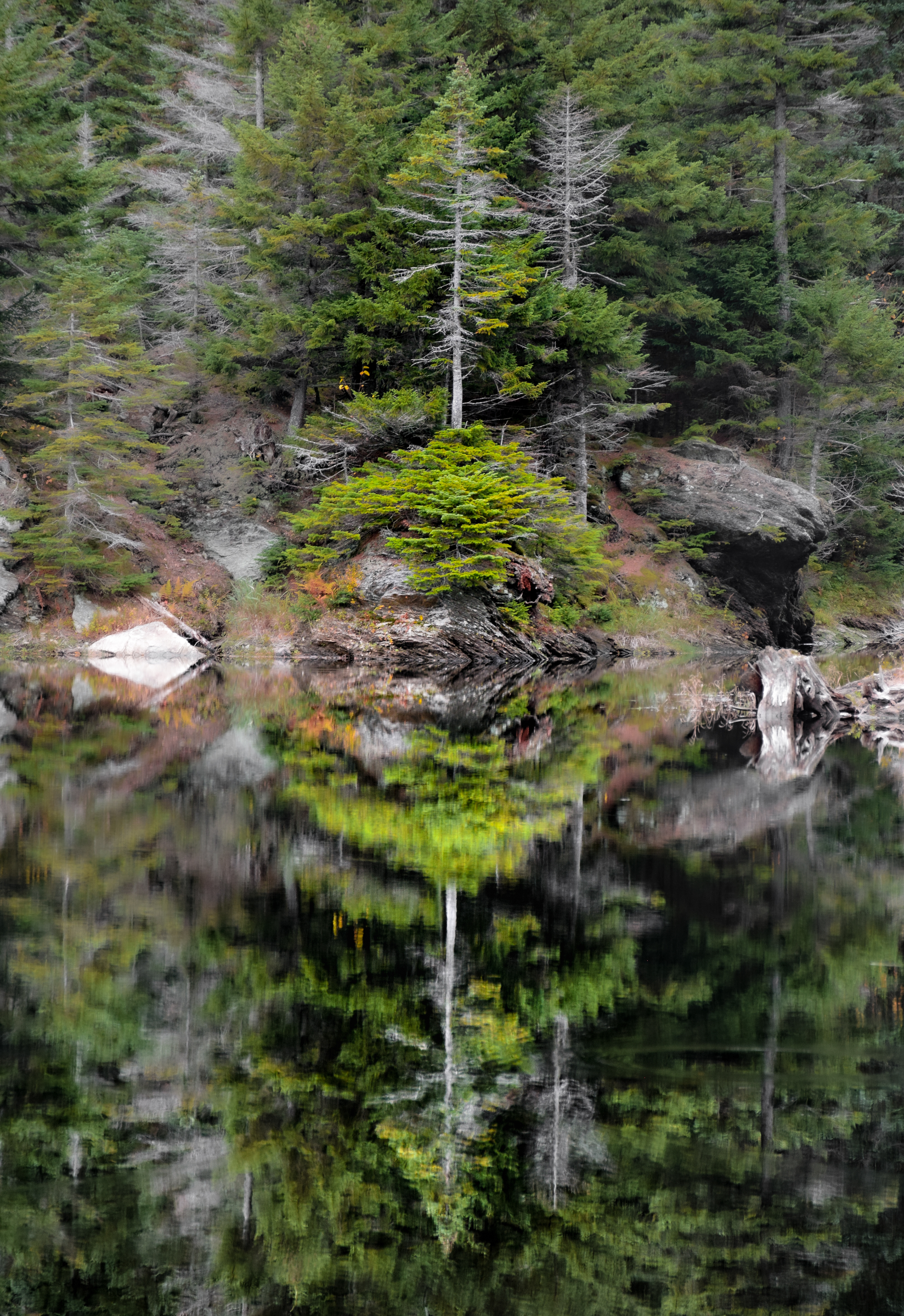45°5'17"N, 72°32'17"W • Lac Vogel • Sutton, Estrie, Quebec • NikonD5300 116mm f/5.6 1/125 ISO100