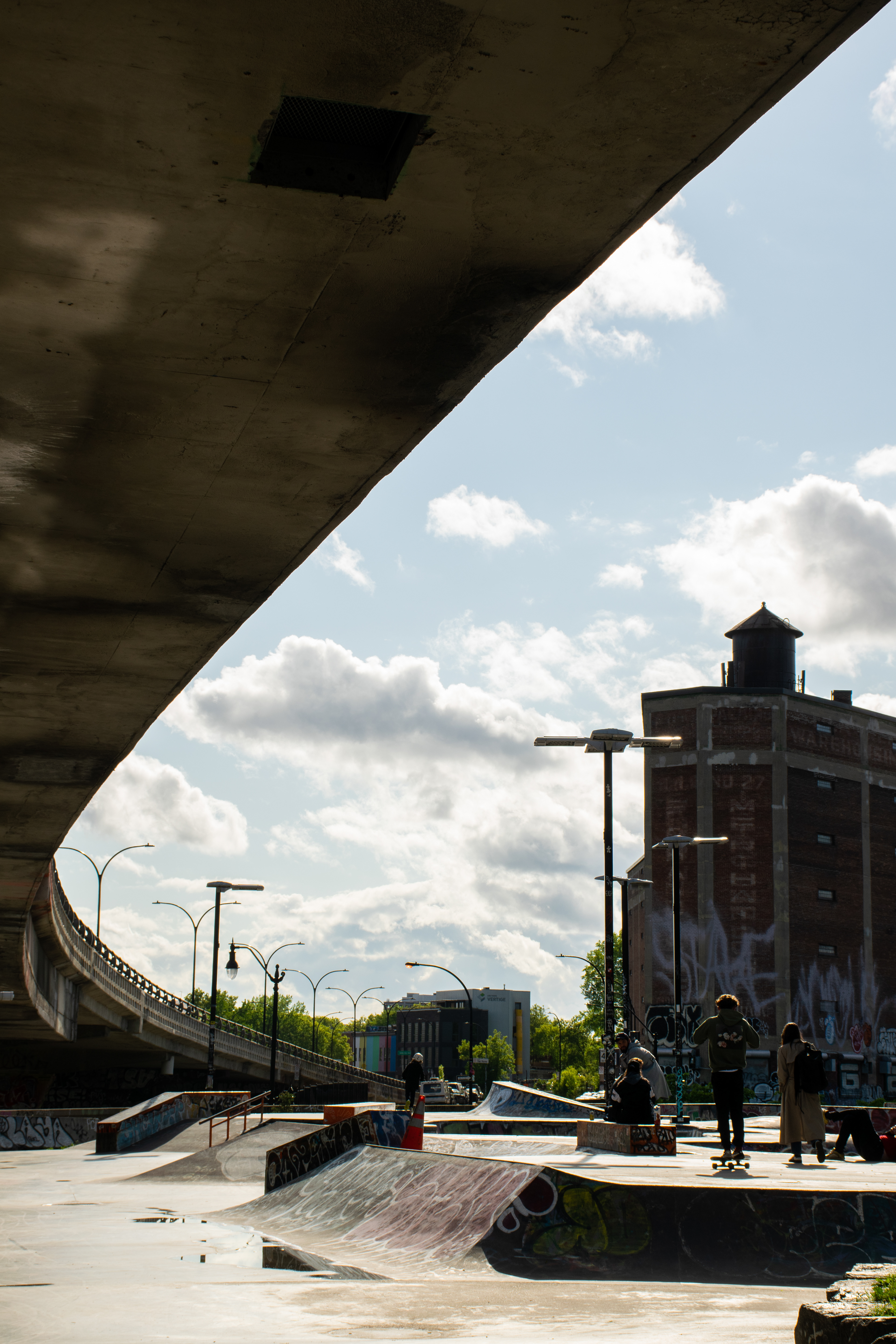 Skatepark Rosement • Viaduc Rosemont-Van Horne • NikonD5300 42mm f/10 1/400 ISO100