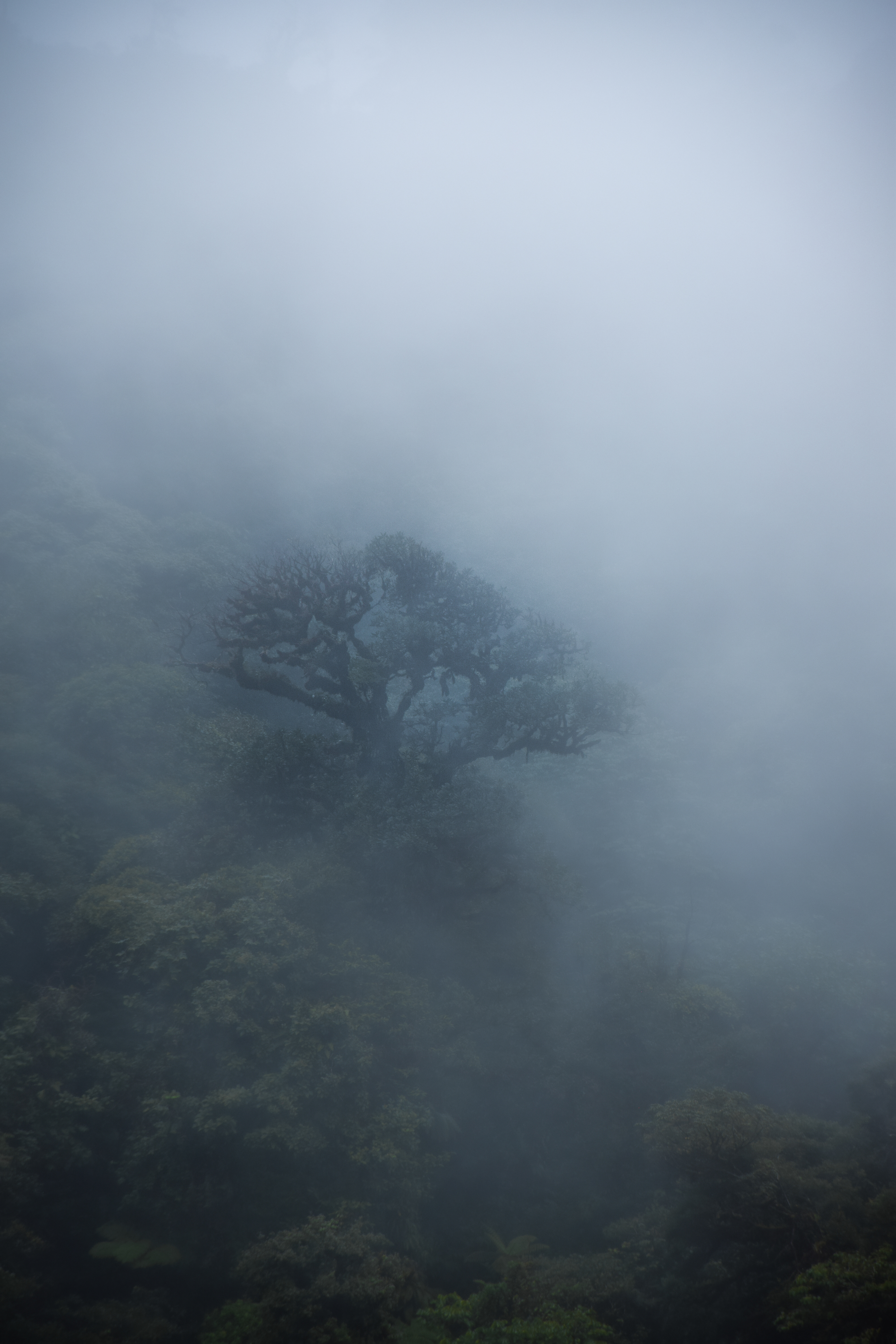 Volcano Arenal • Costa Rica • NikonD5300 140mm f/5.6 1/500 ISO100