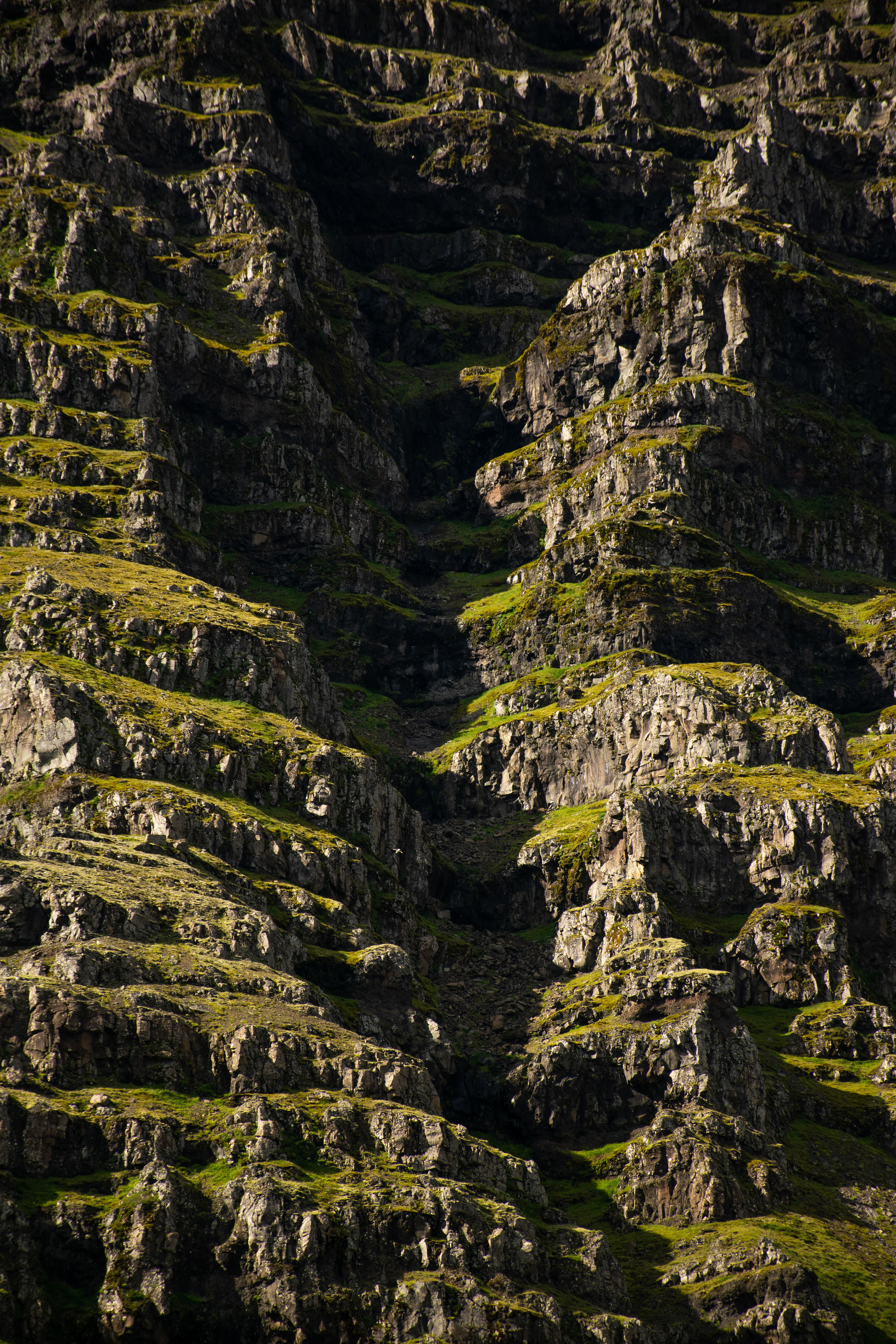 Estrades de roches et d'herbe sur la côte Sud-Est
