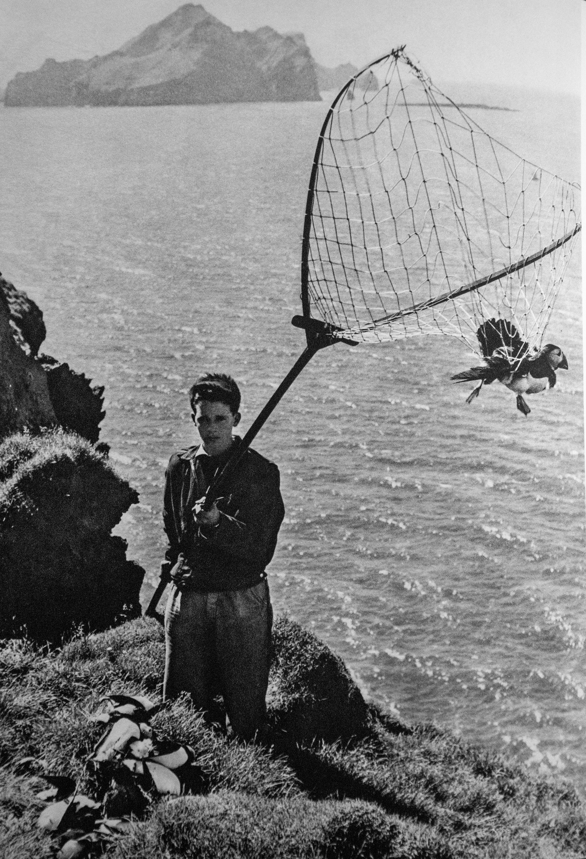 Chasse aux macareux sur les îles Vestmann (1962)