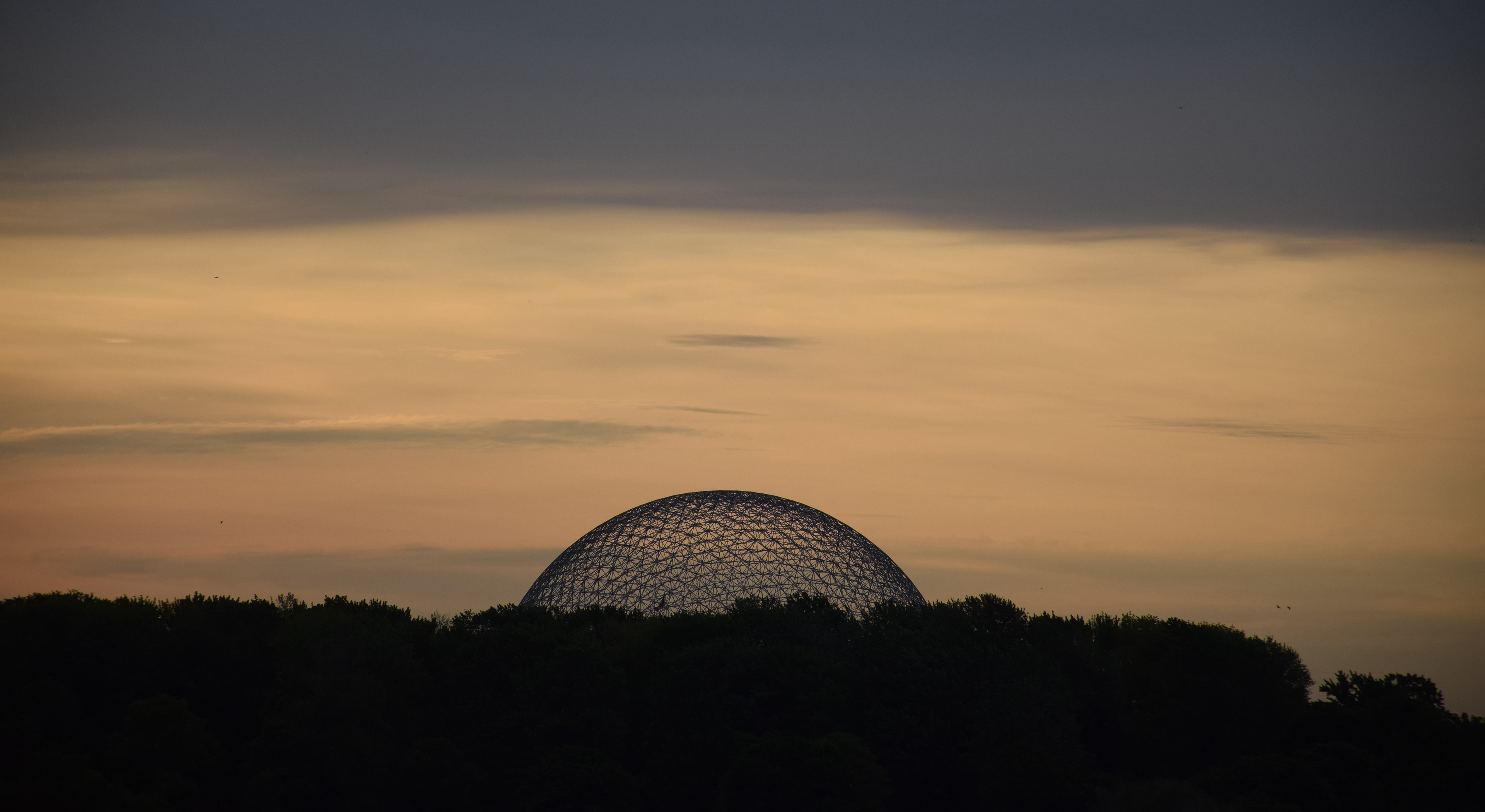 Biosphère • Île Saint-Hélène • NikonD5300 140mm f/6.3 1/640 ISO100