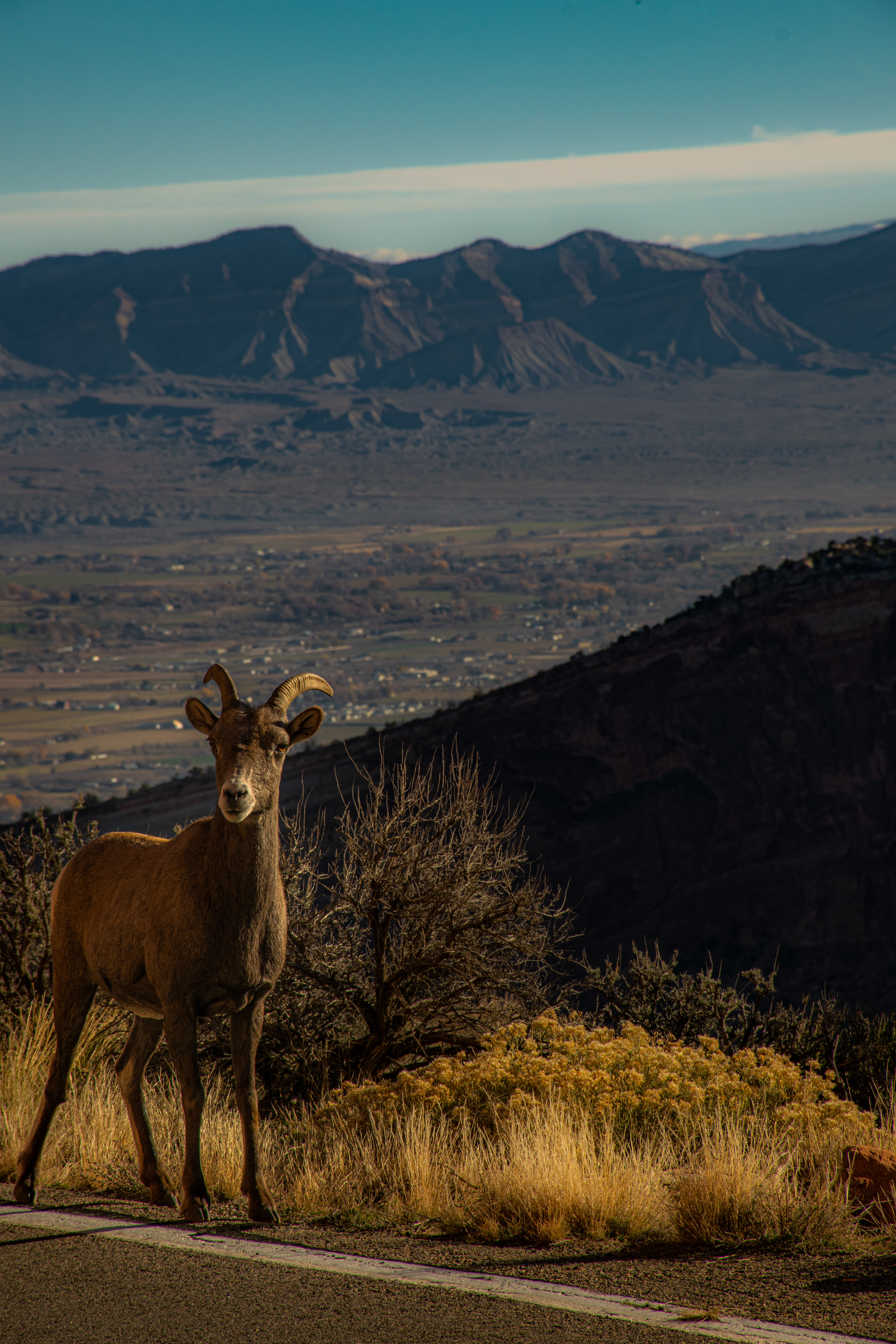 National Monument • Colorado, USA • NikonD5300 140mm f/16 1/250 ISO100