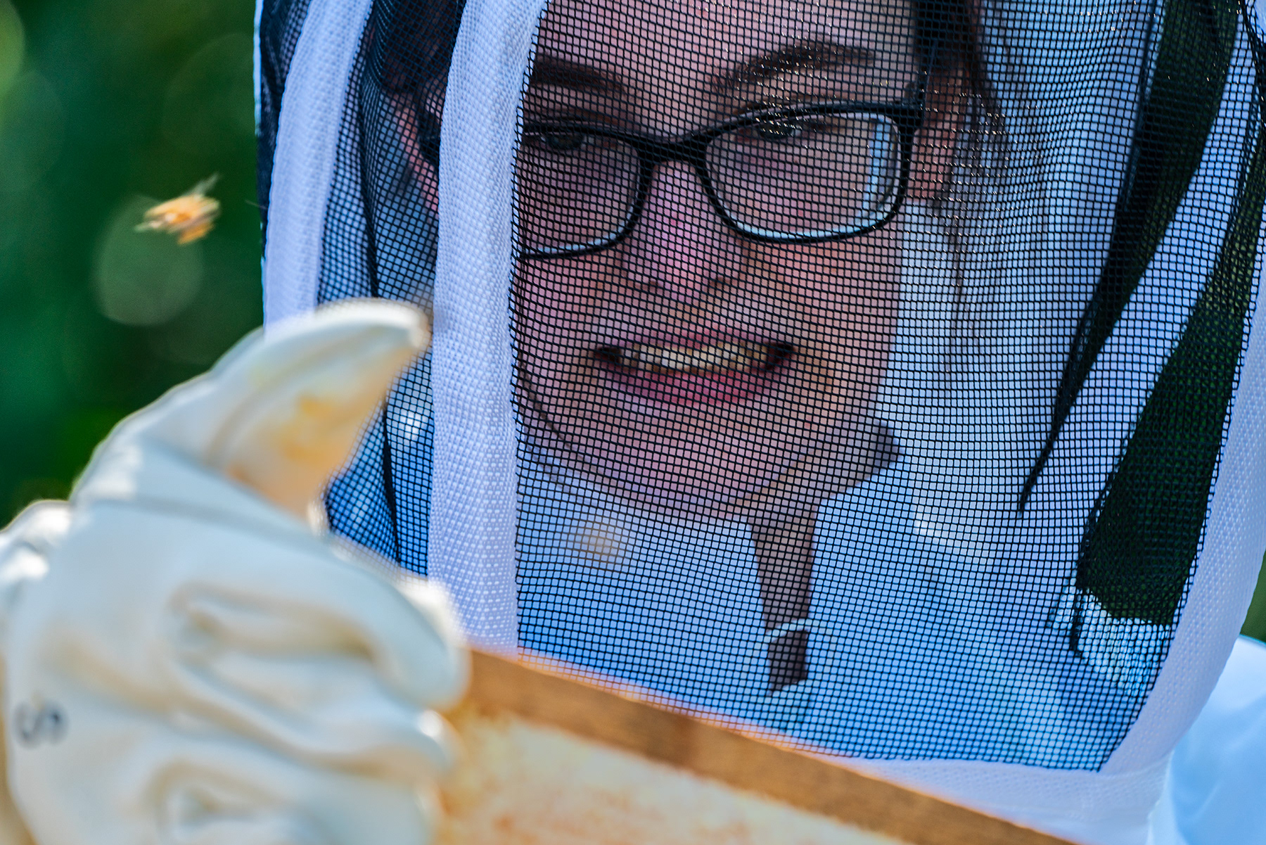 Caroline Pontius examines a frame from the bee colony on RIT campus on Sunday, Sept. 3, 2023, in Henrietta, NY.