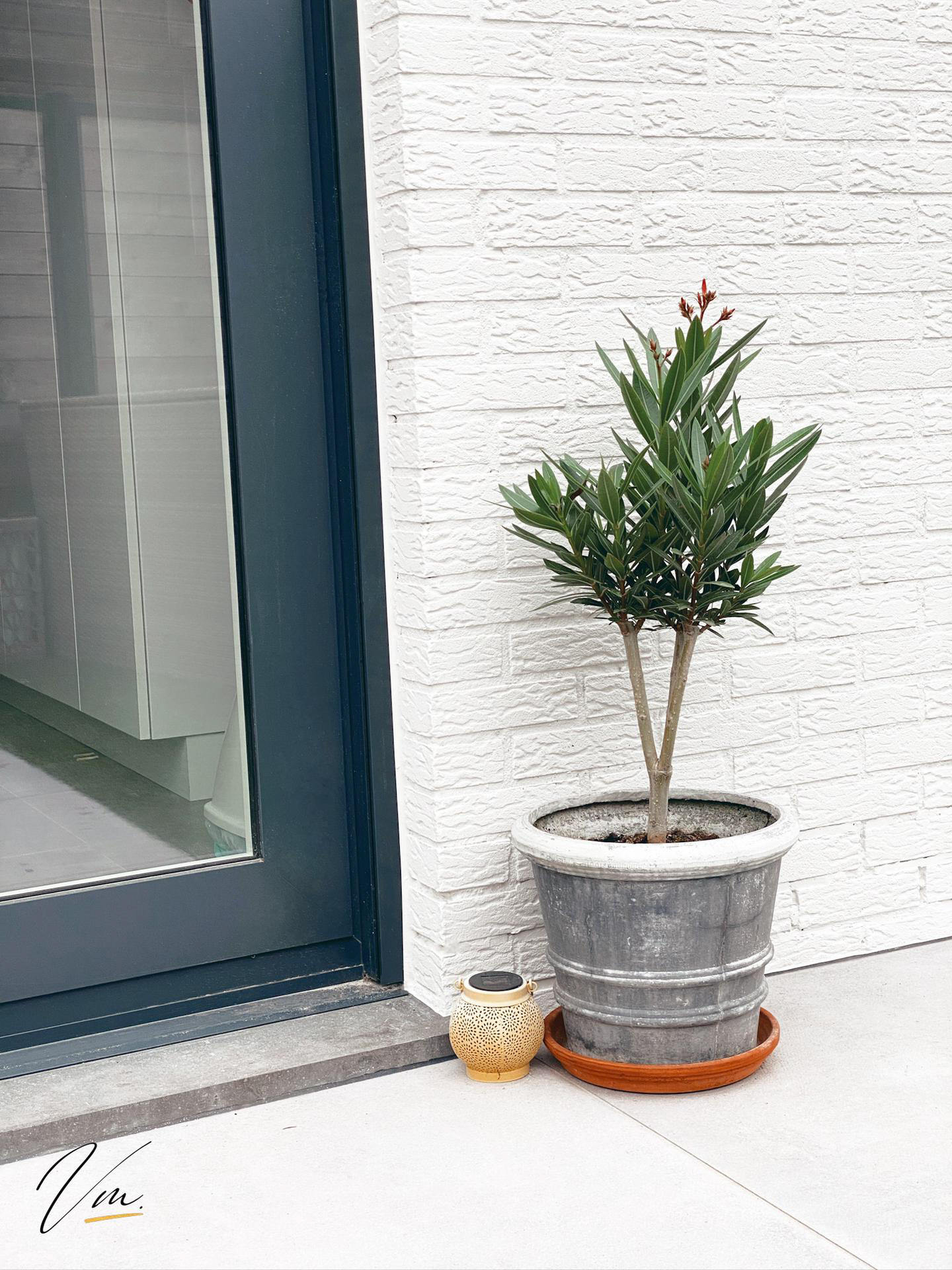 Detail schilderen gevels