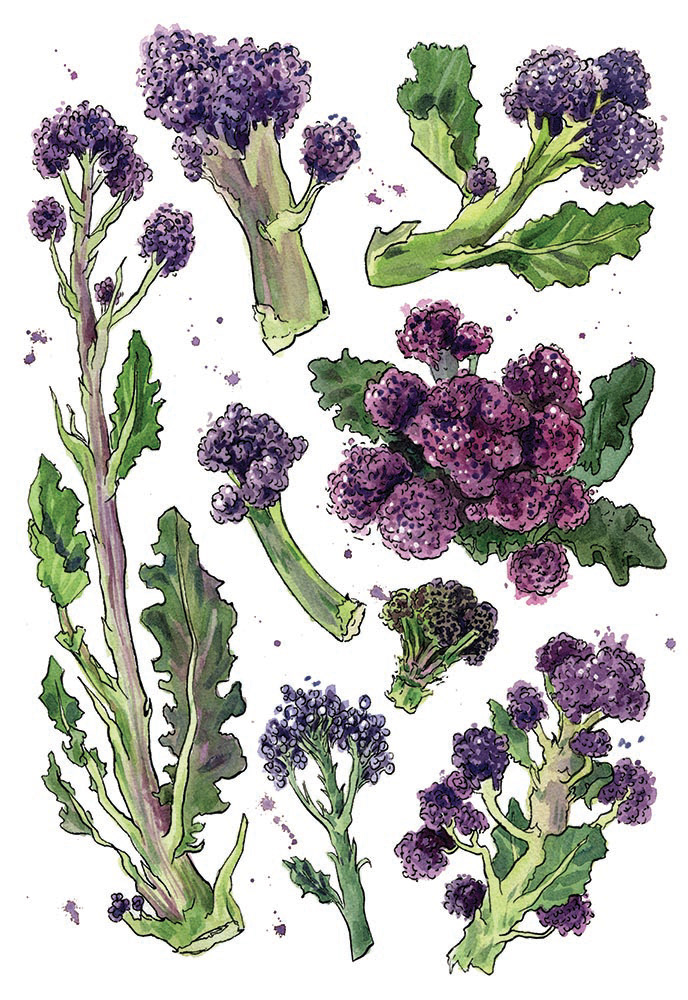 GIY Recipe Page