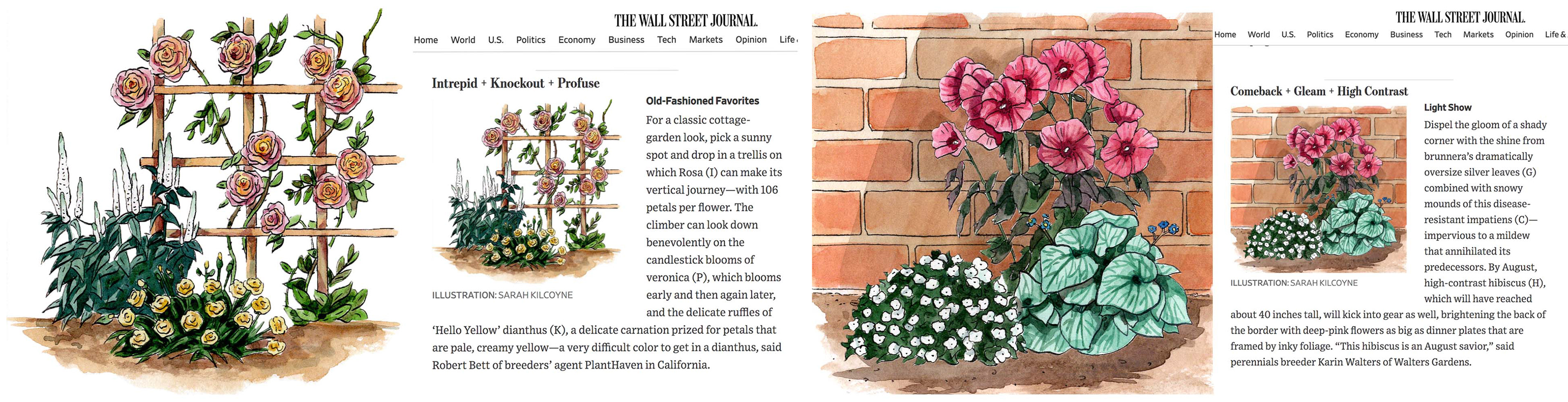 Wall Street Journal Weekend Magazine, Spots