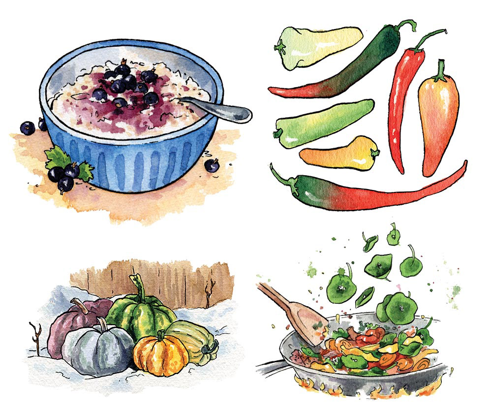 GIY Diaries Spot Illustrations