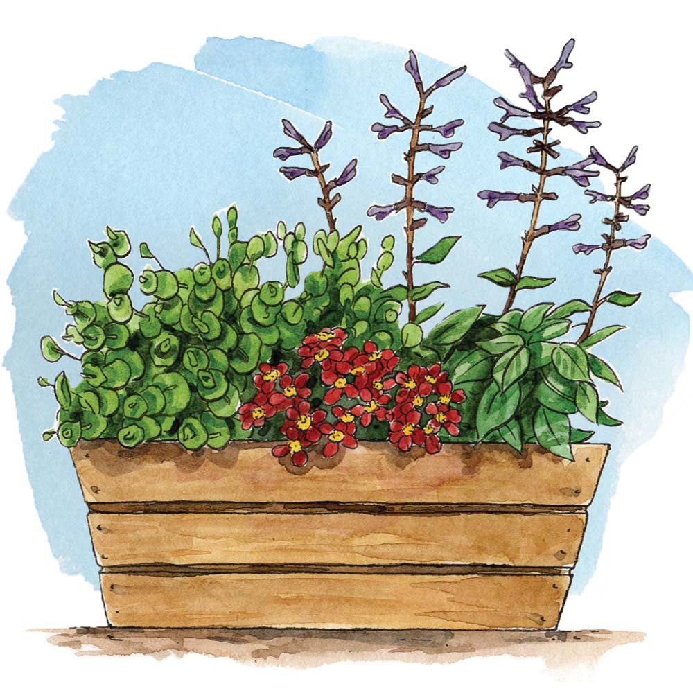 Wall Street Journal Gardening Spots