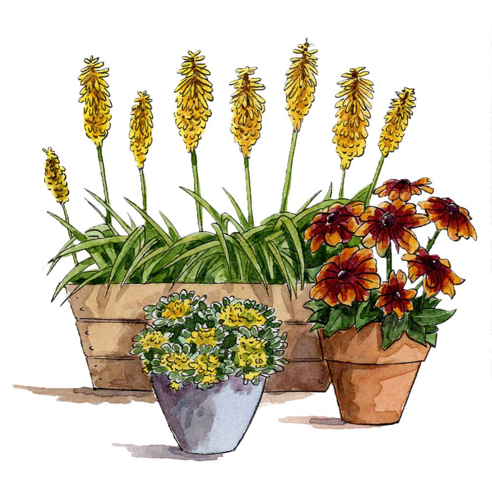 Wall Street Journal Gardening Spots