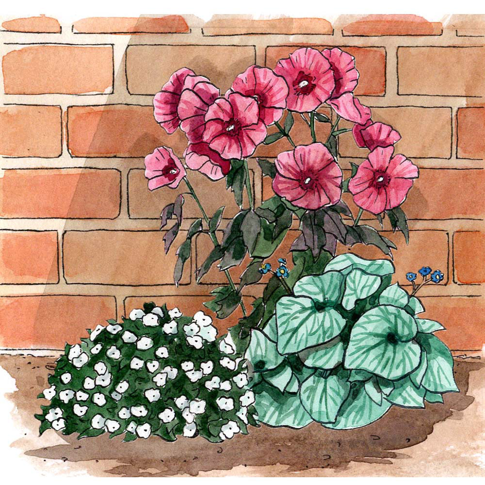 Wall Street Journal Gardening Spots