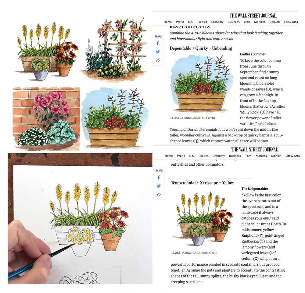 A-Z Plants for Spring