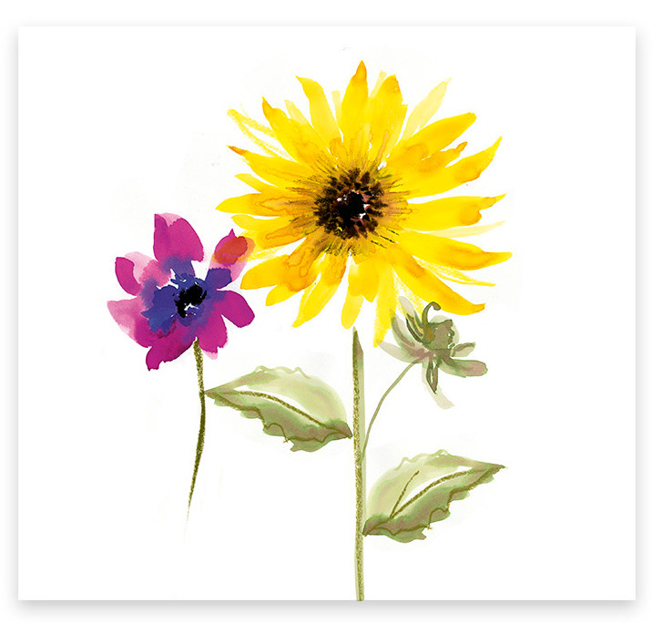 Floral used in a Sainsbury's everyday card