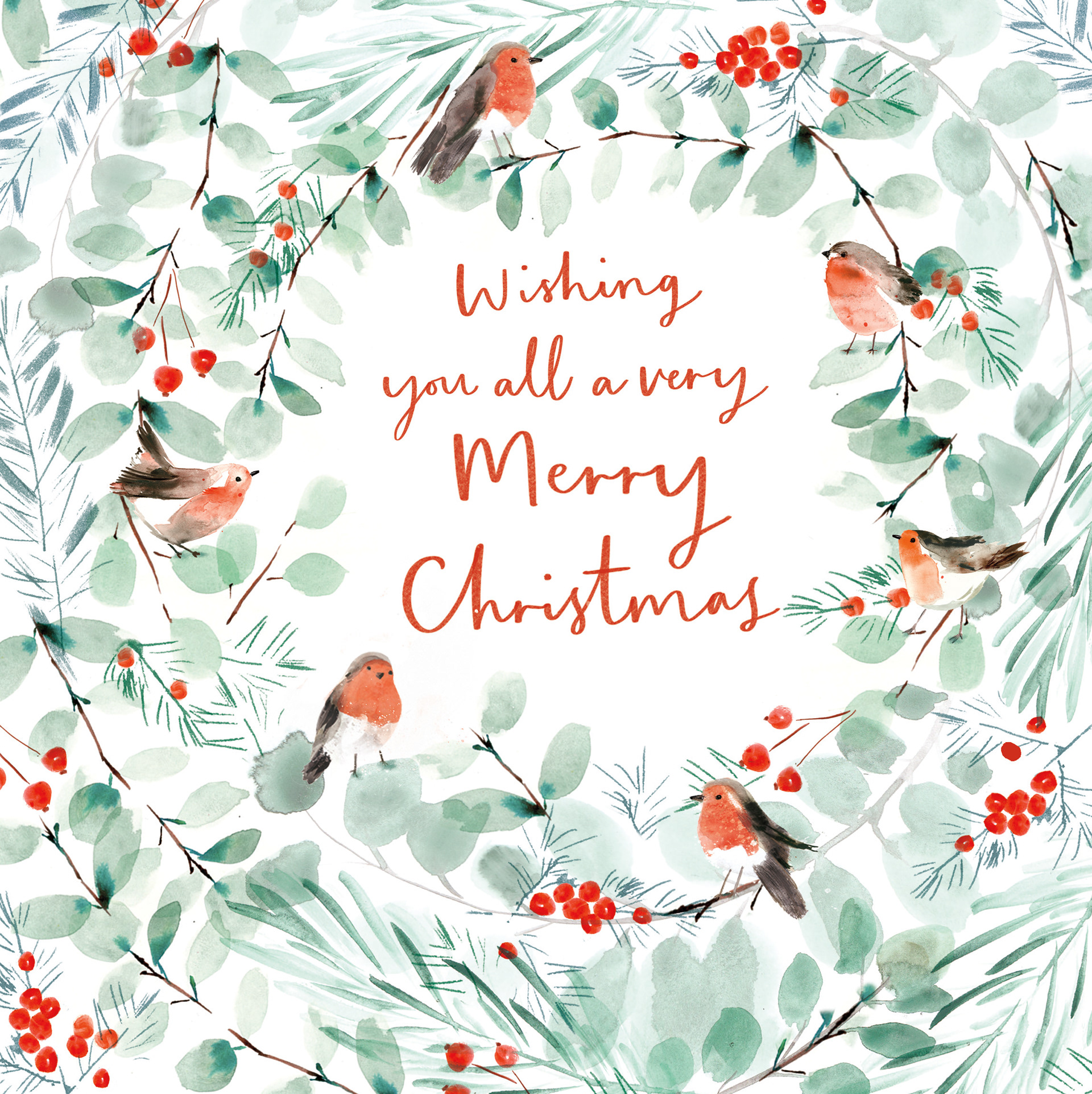 Sainsbury's Christmas Robin range