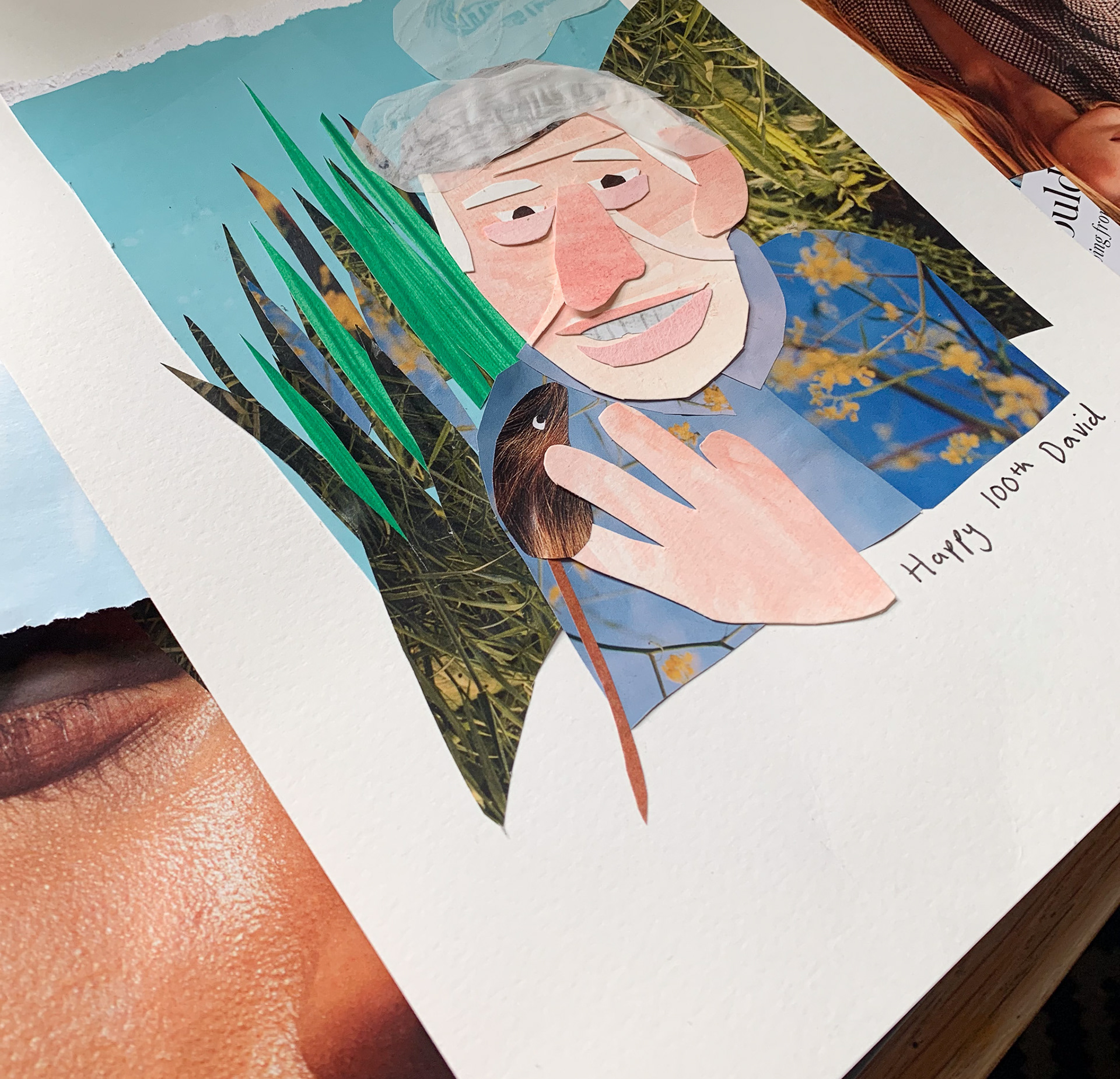 exploring collage...portrait of David Attenborough for his 100th birthday