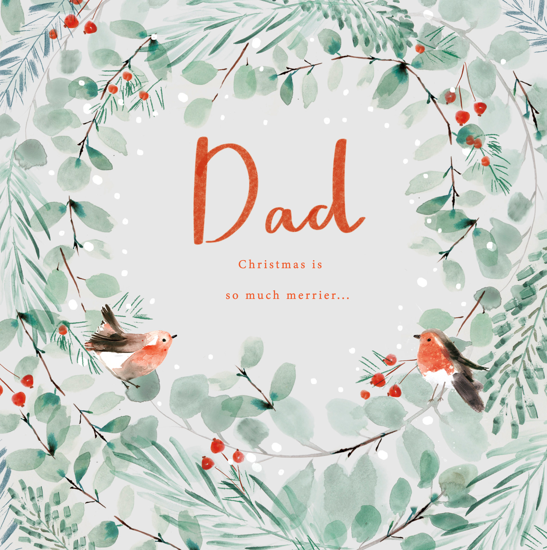 Sainsbury's Christmas Robin range