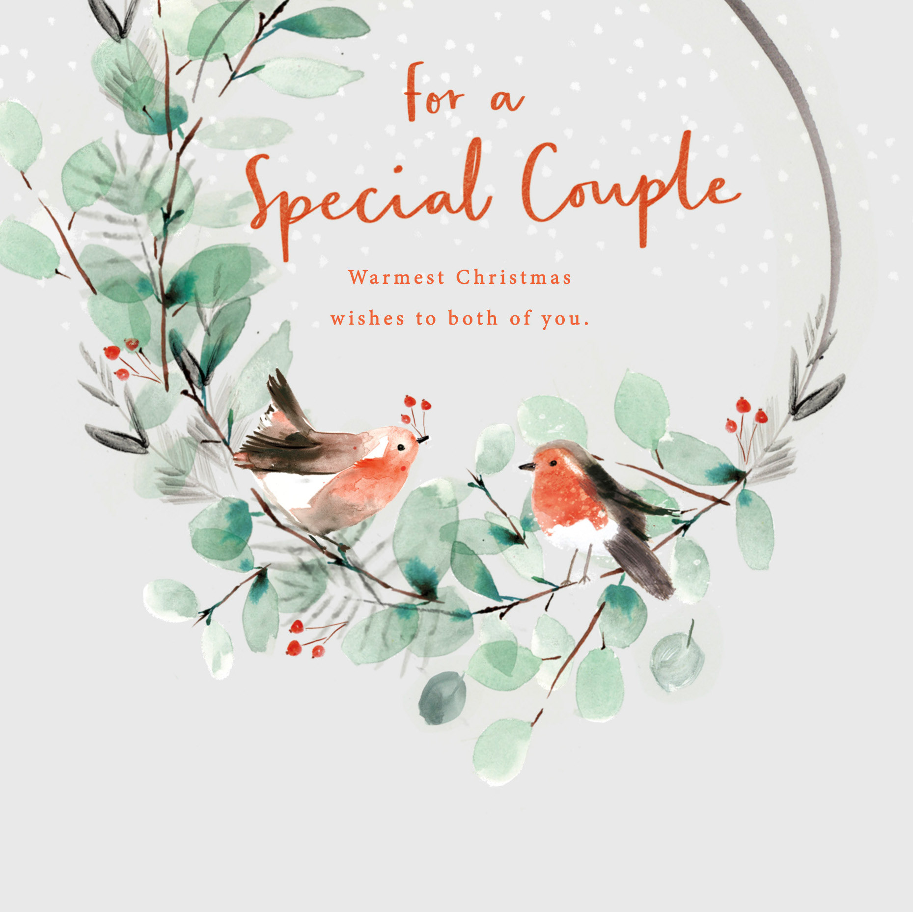 Sainsbury's Christmas Robin range