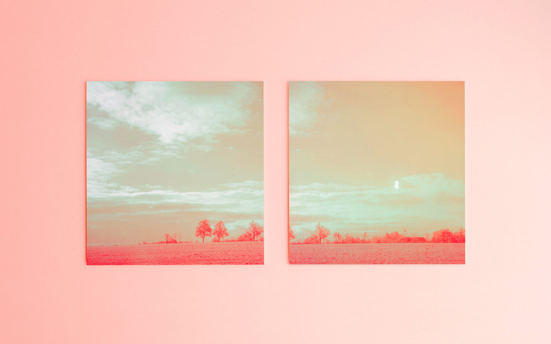 08Sep.2021