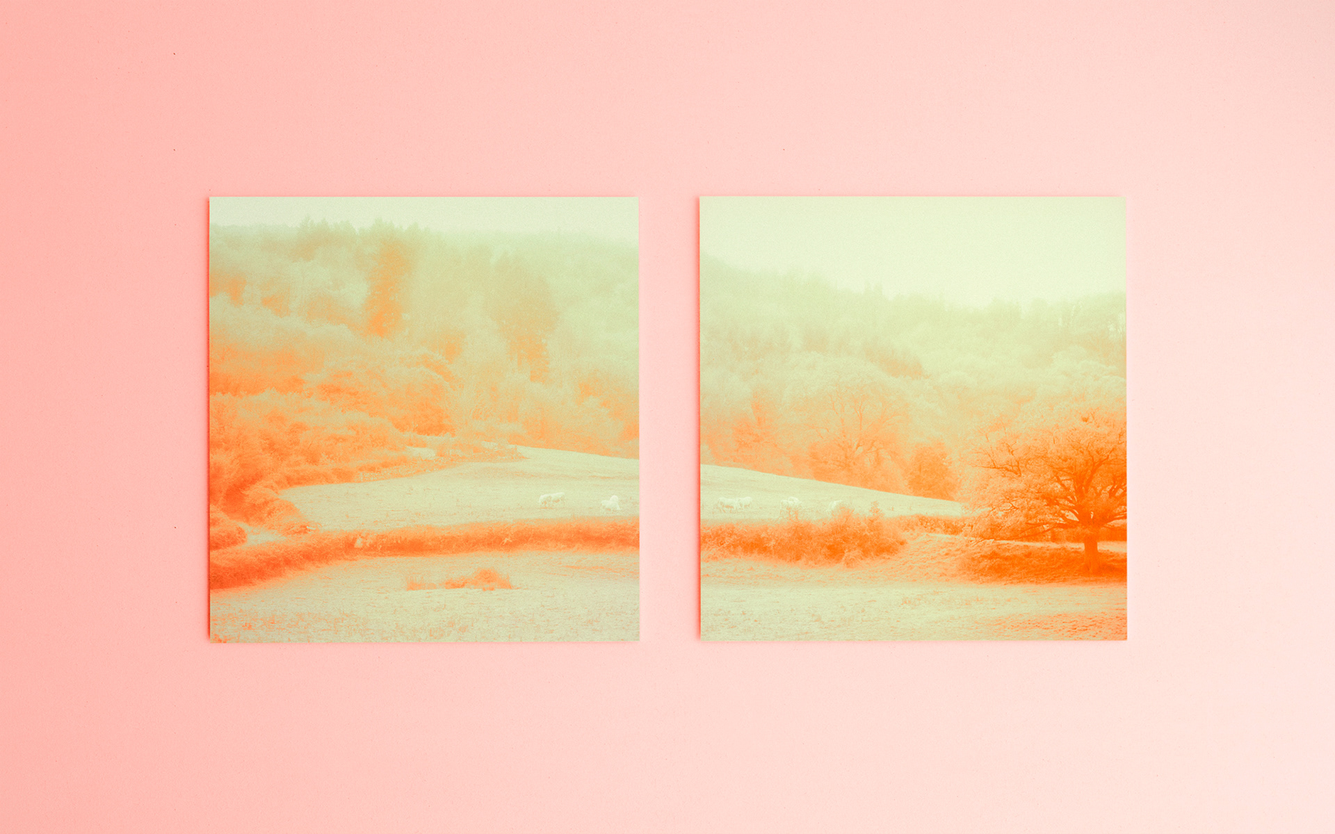 09Jul.2021