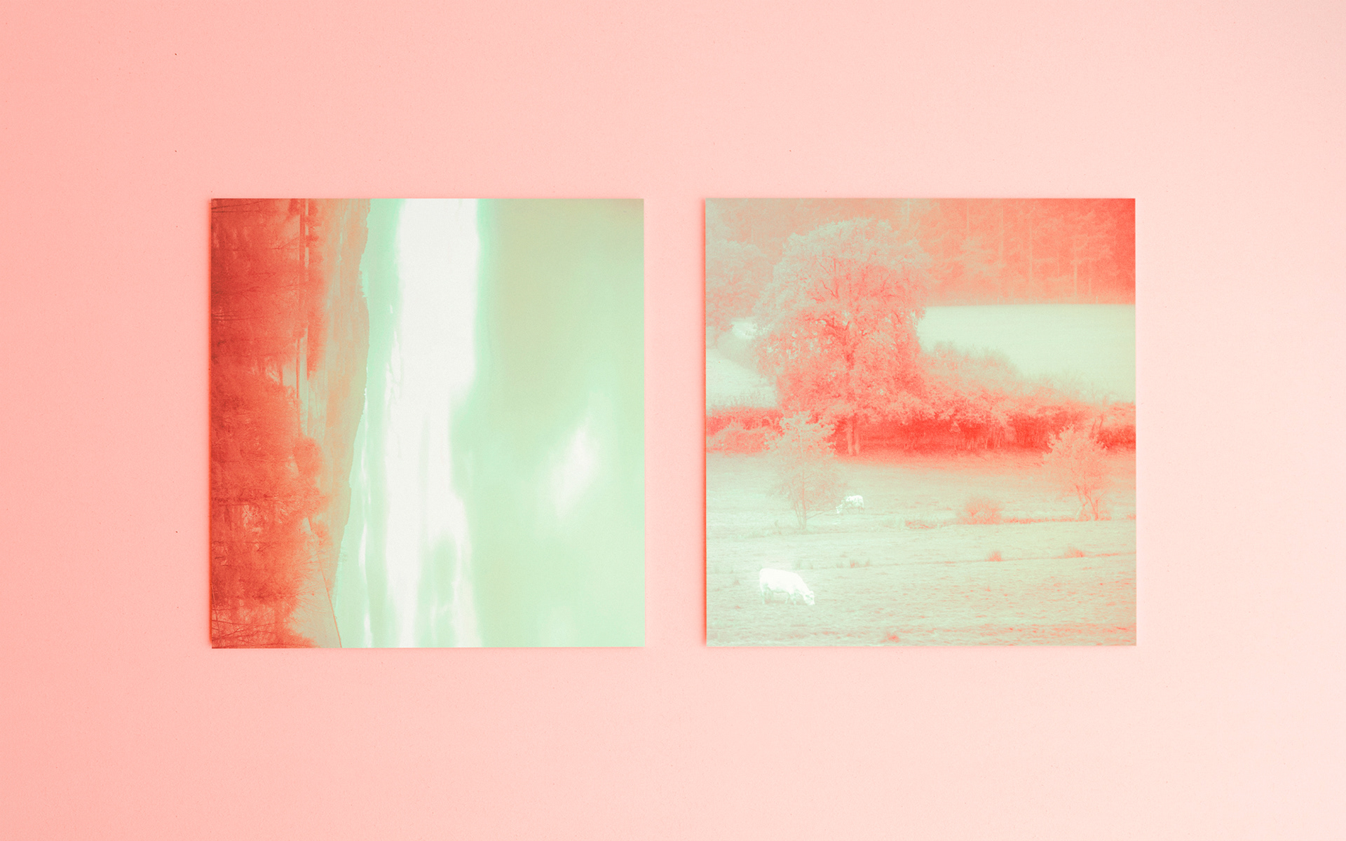 04Aug.2021