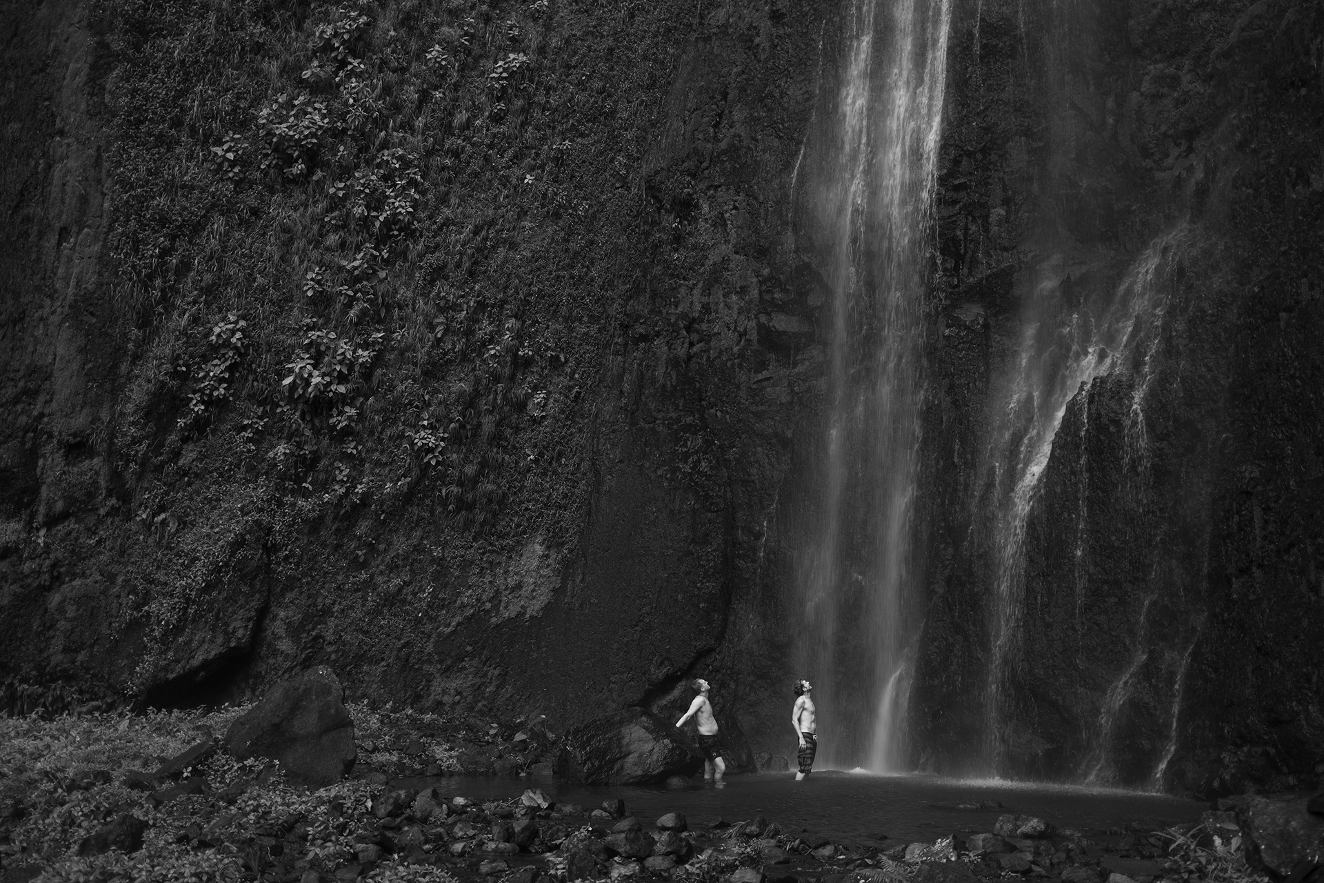 Look Up | Ometepe Island, Nicaragua 2024