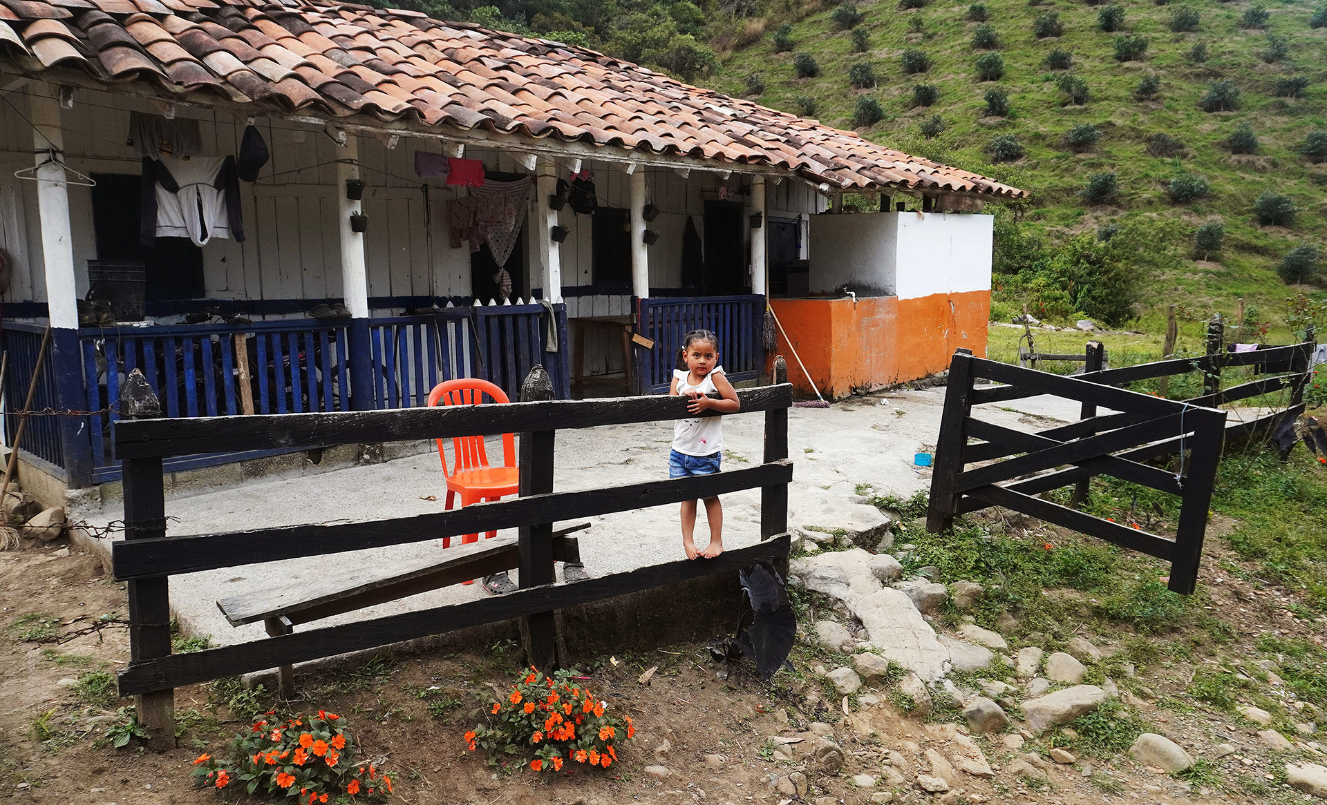 Fenced in | Jérico, Colombia 2025