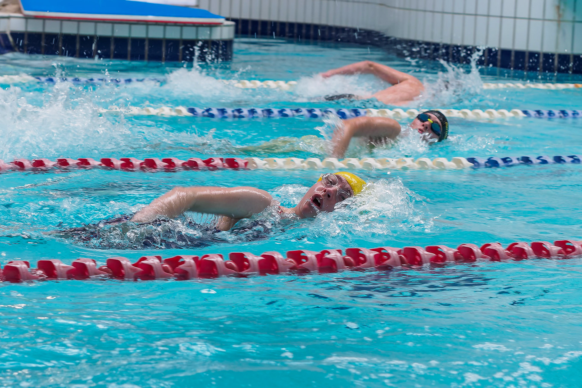 Swimmers in 100m freestyle