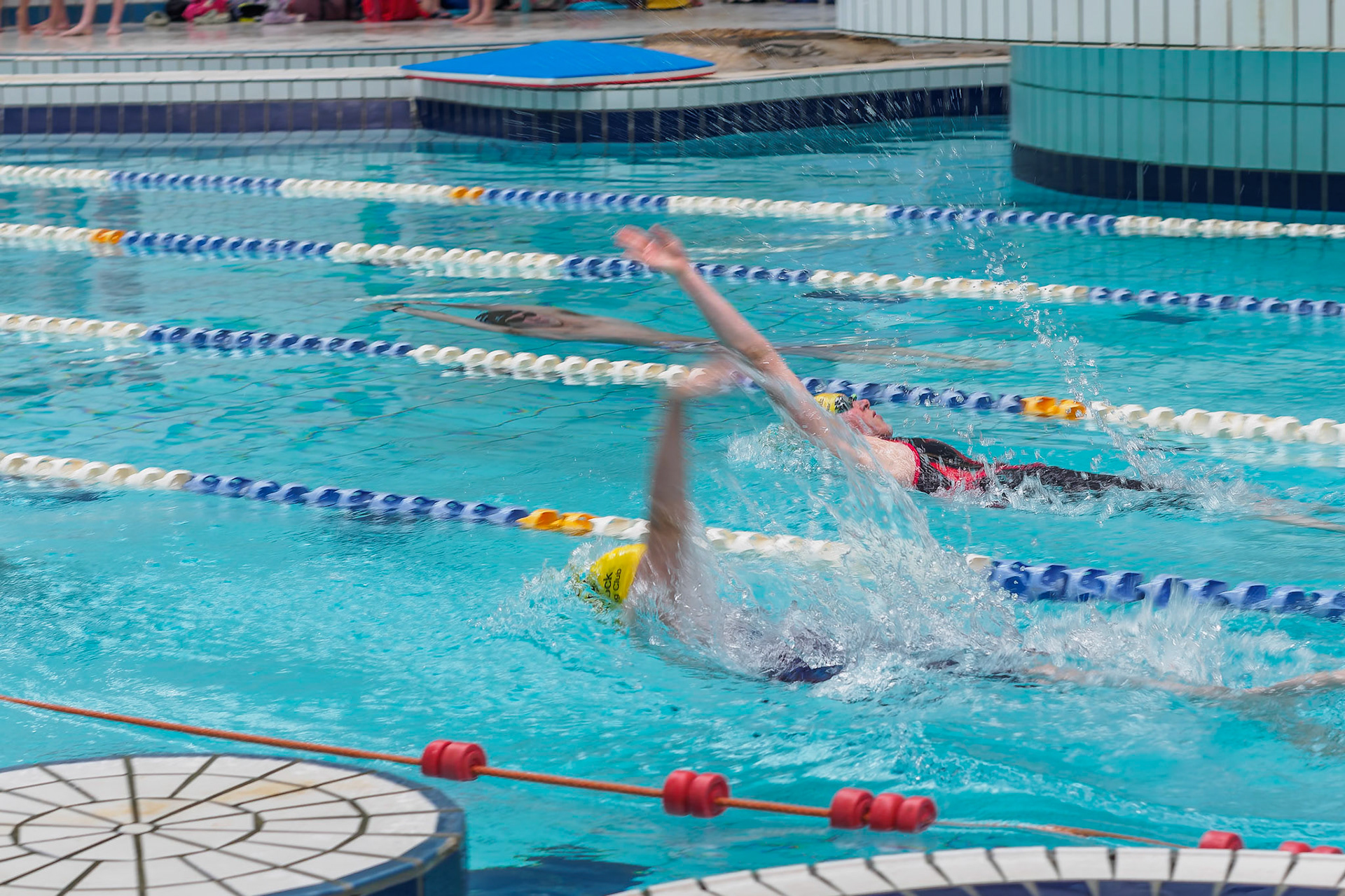 Swimmers in 50m backstroke
