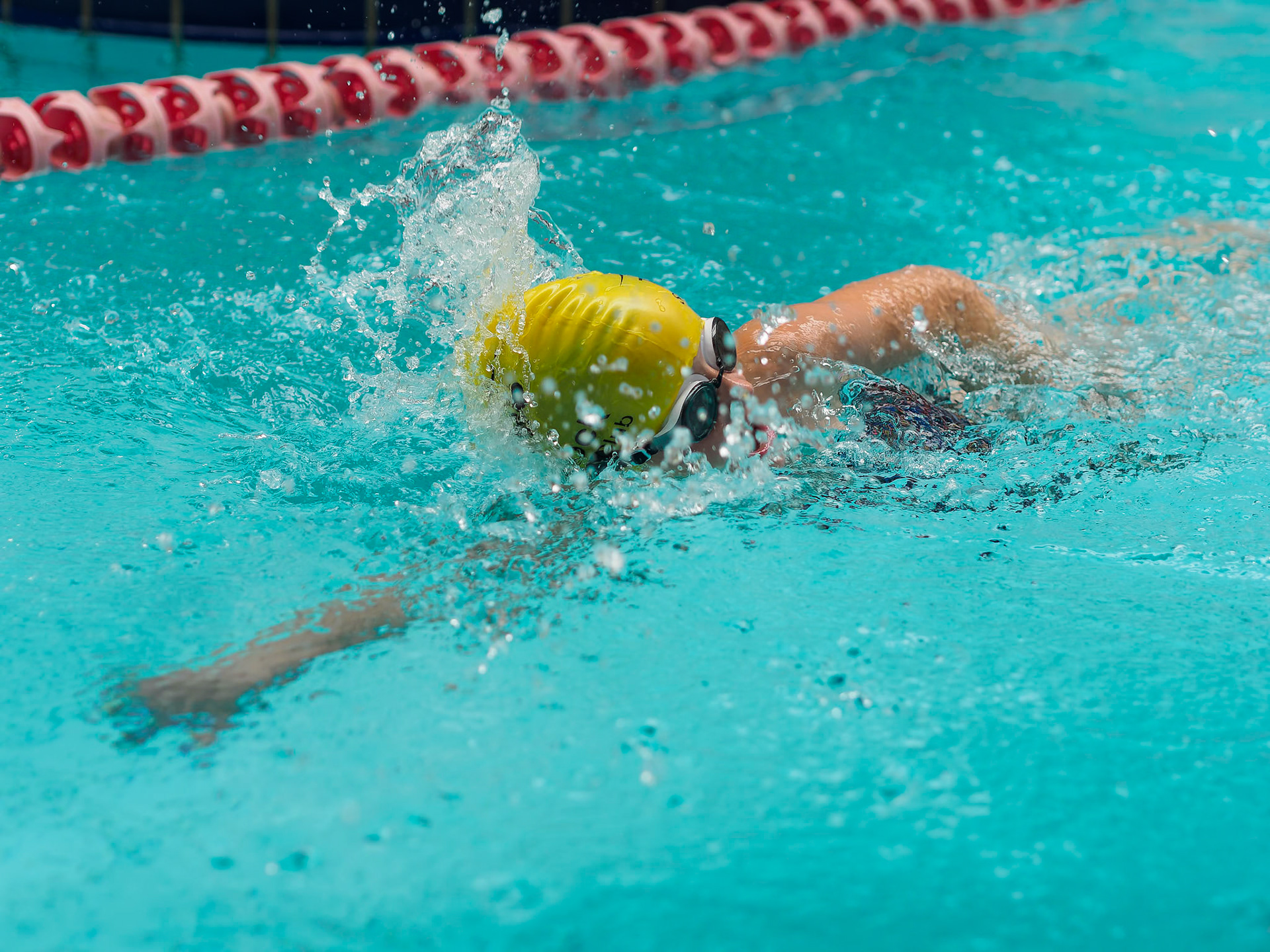 100m free