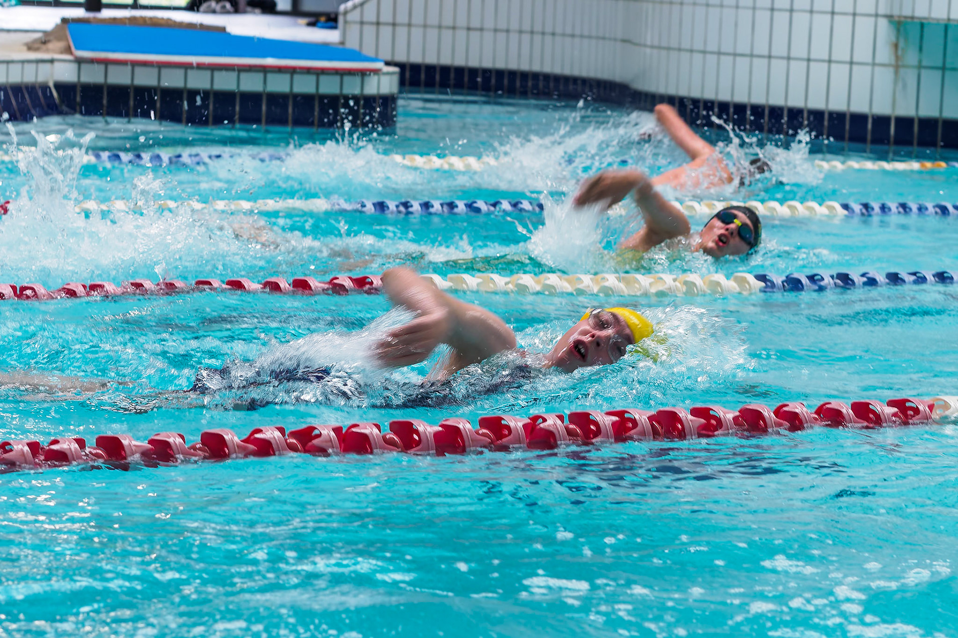 Swimmers in 100m freestyle