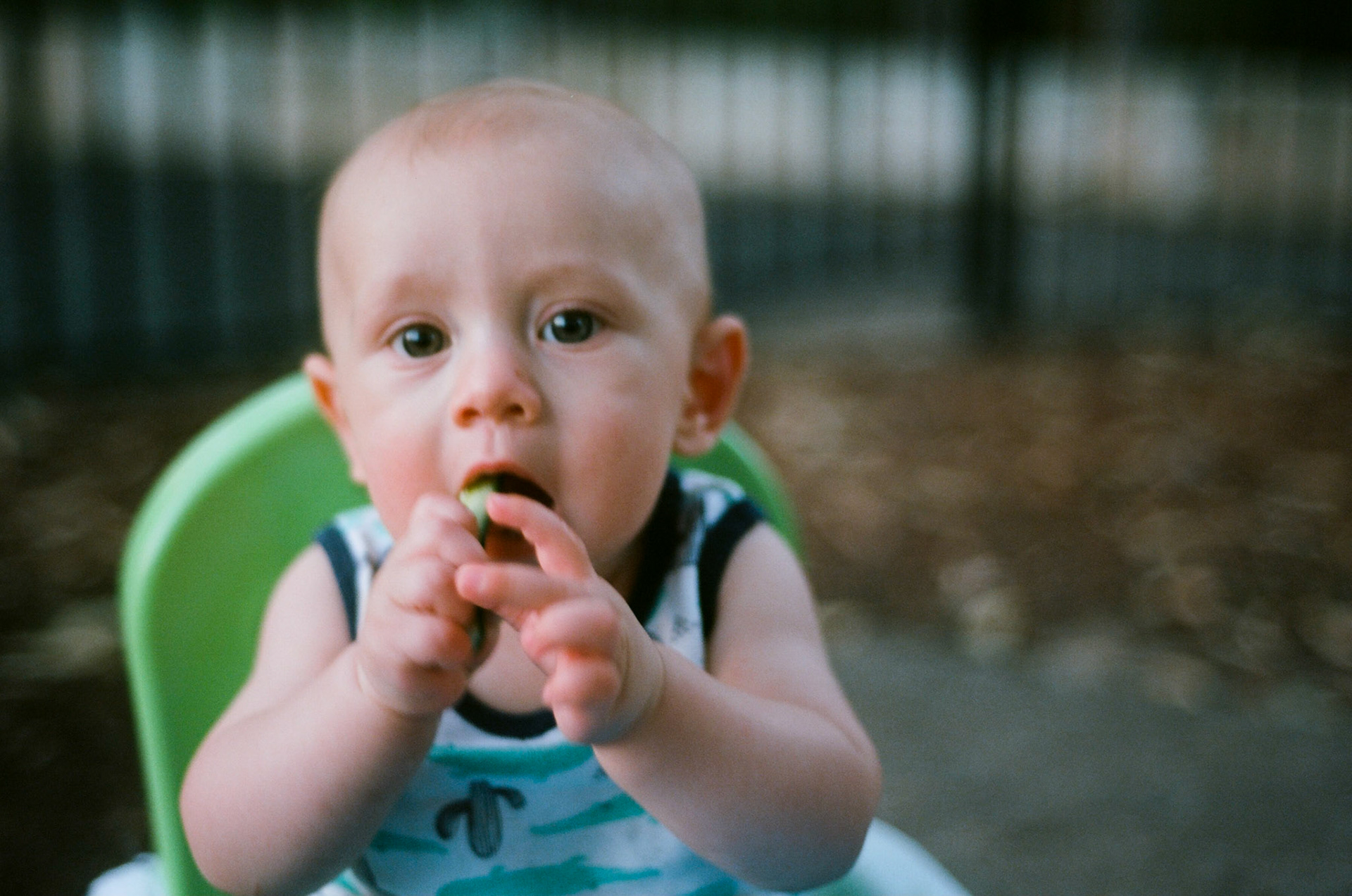 willem / 2019 / film