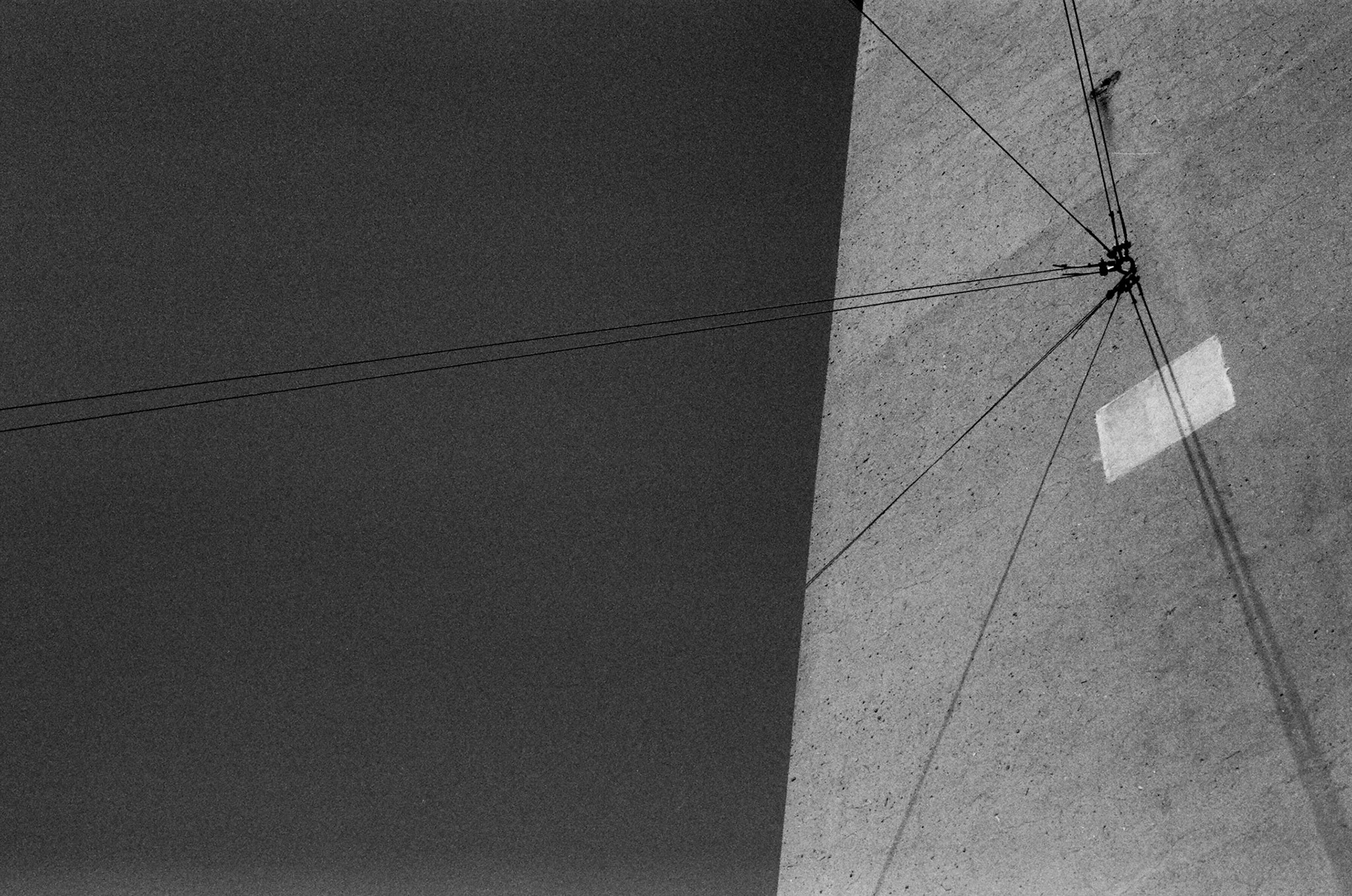 copenhagen / 2018 / film