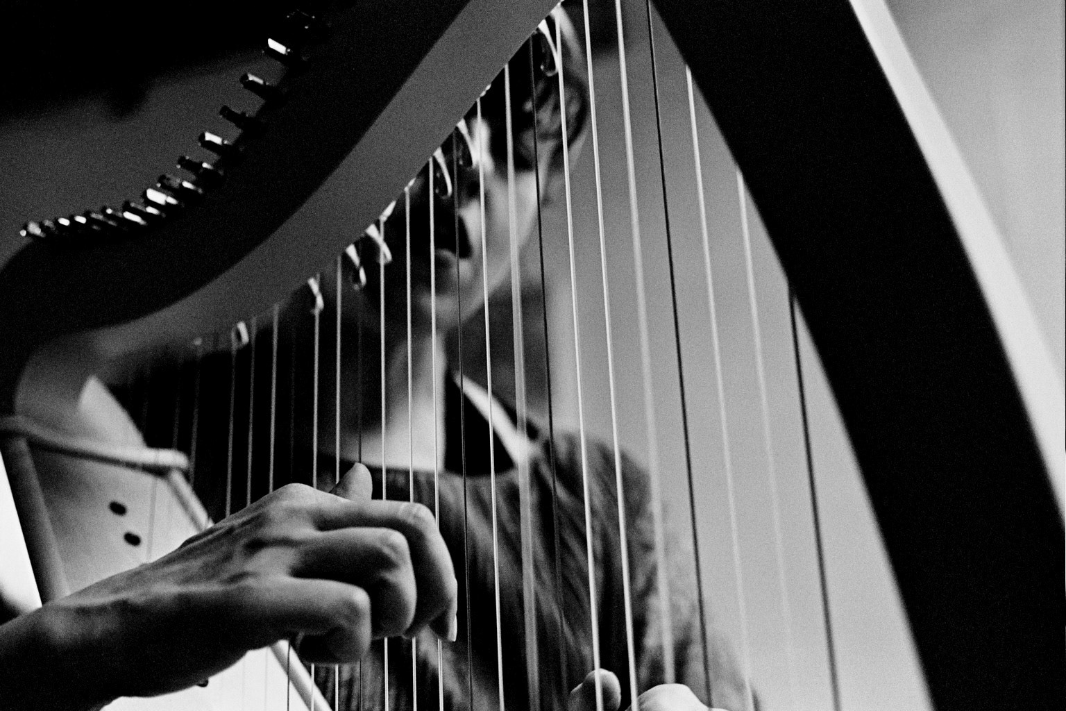 audrey harrer / 2017 / film