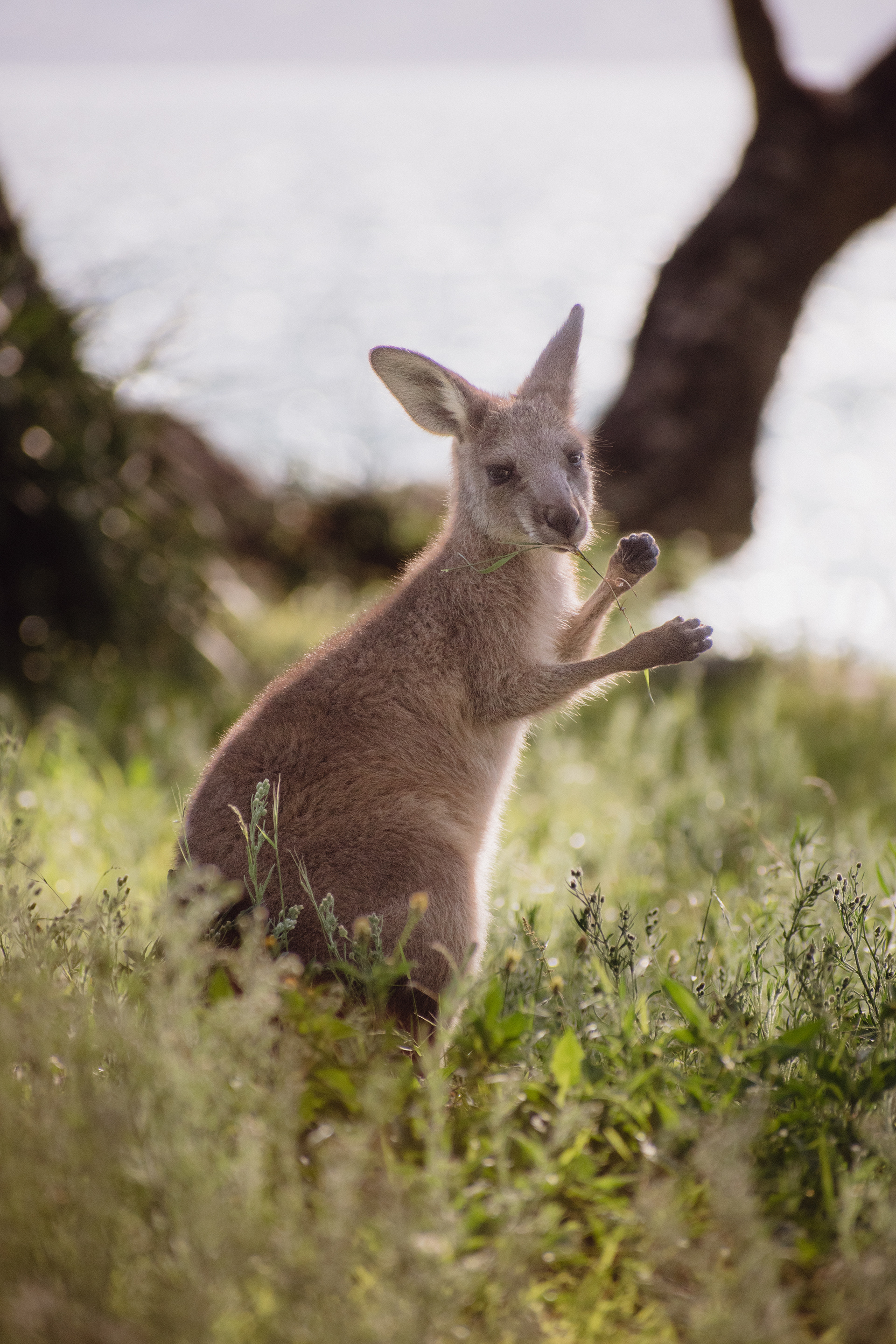 Captured by Jessi, Edited by me