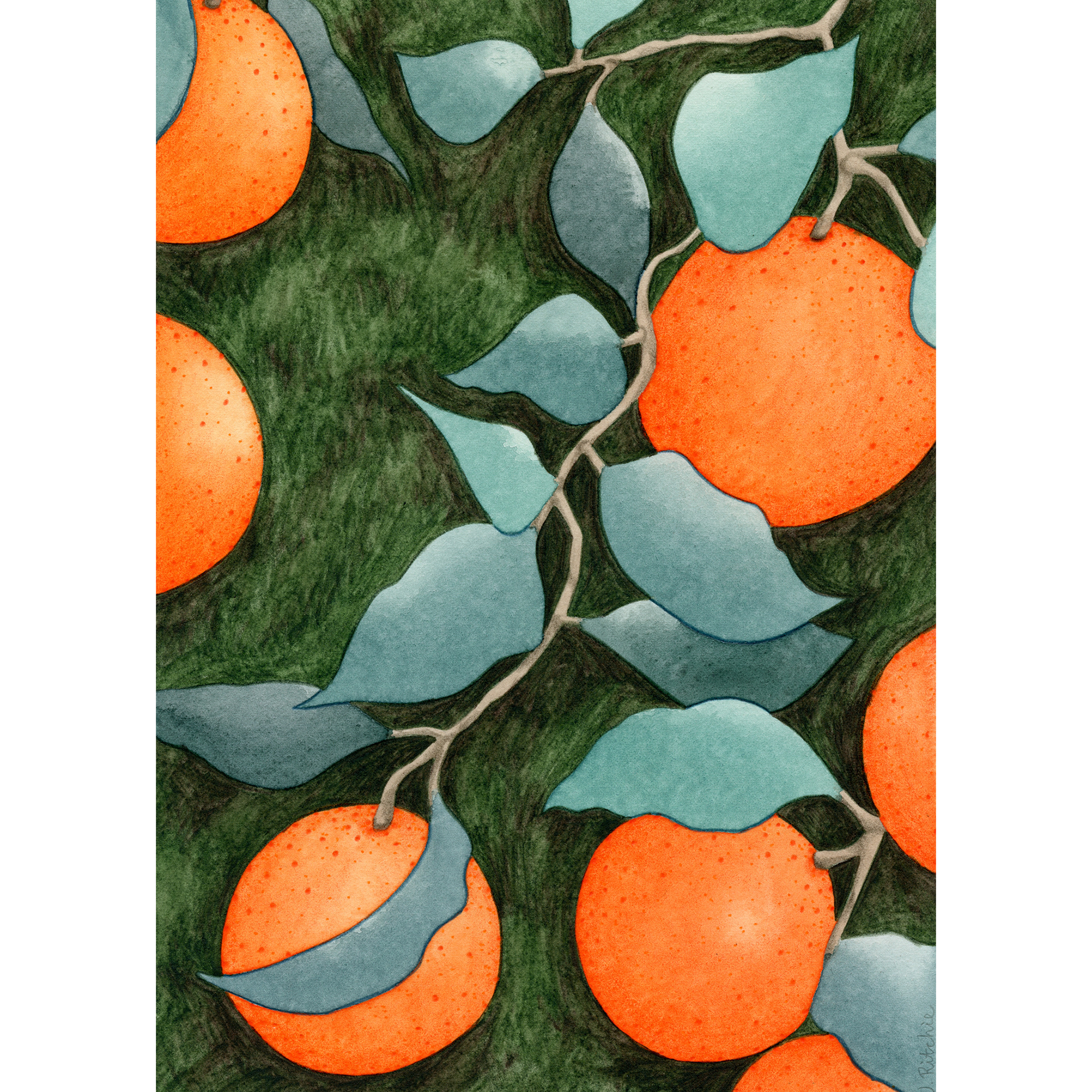 Oranges