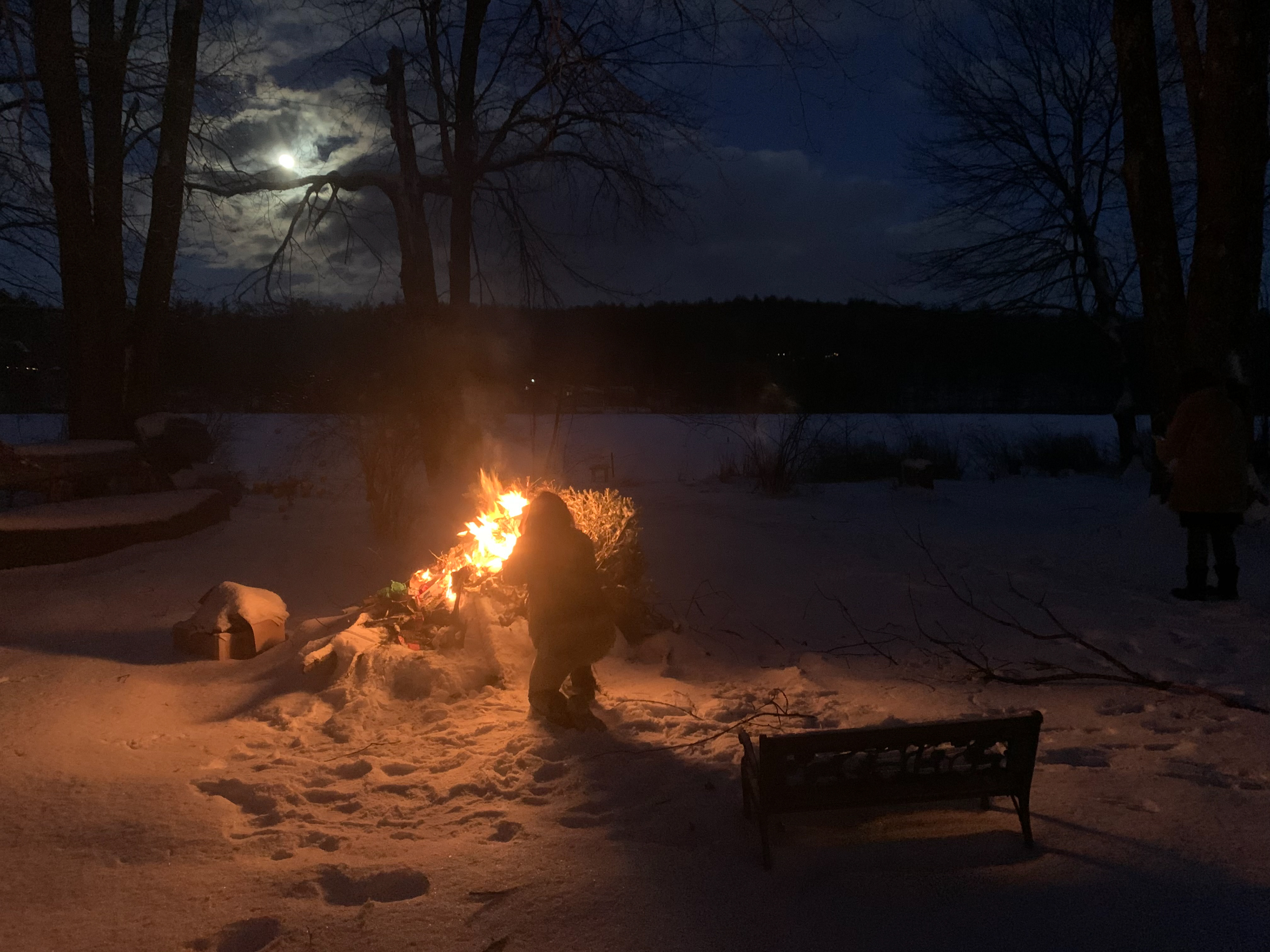 Winter Midnight Blaze