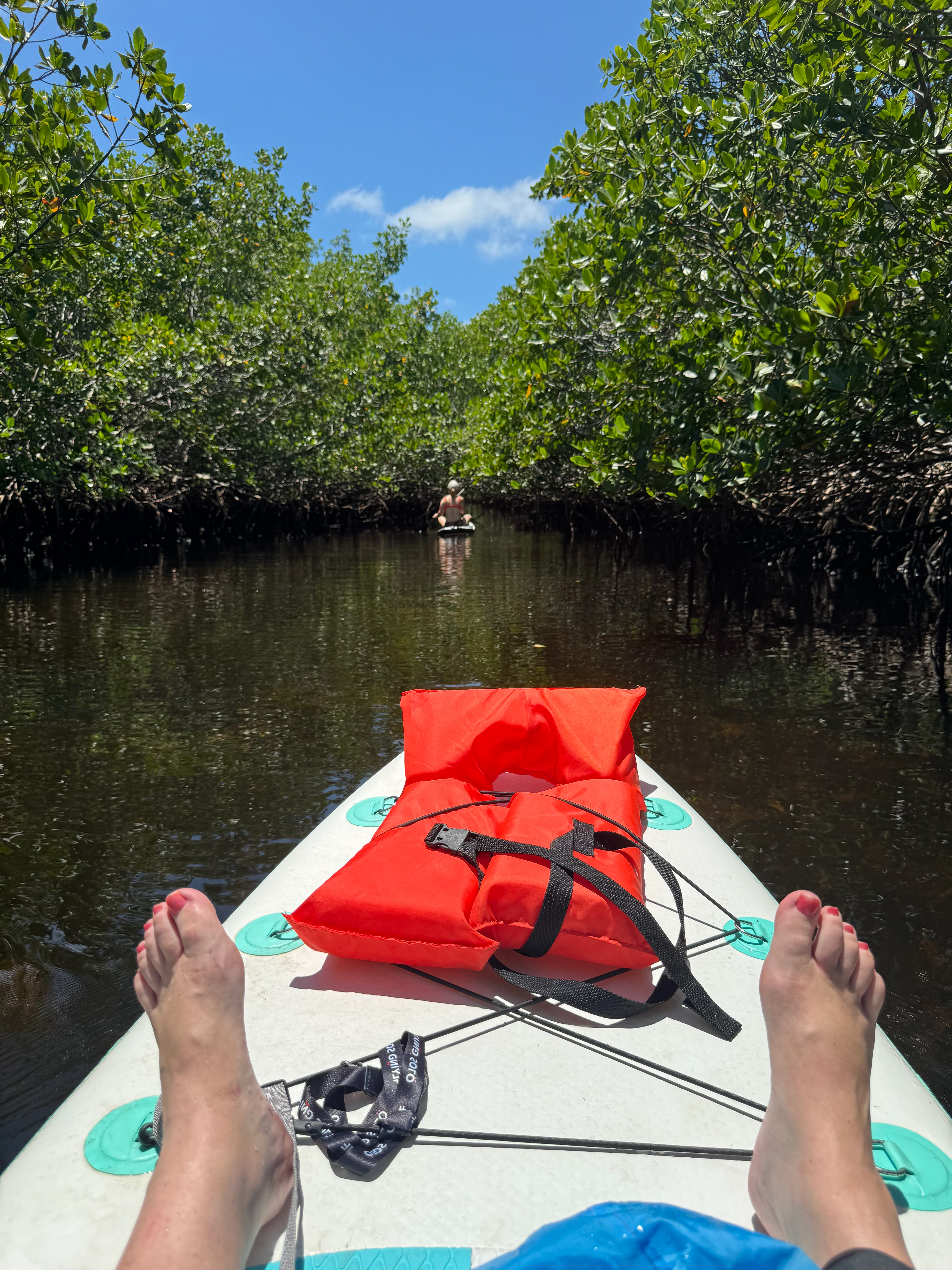 Mangrove Tunnels