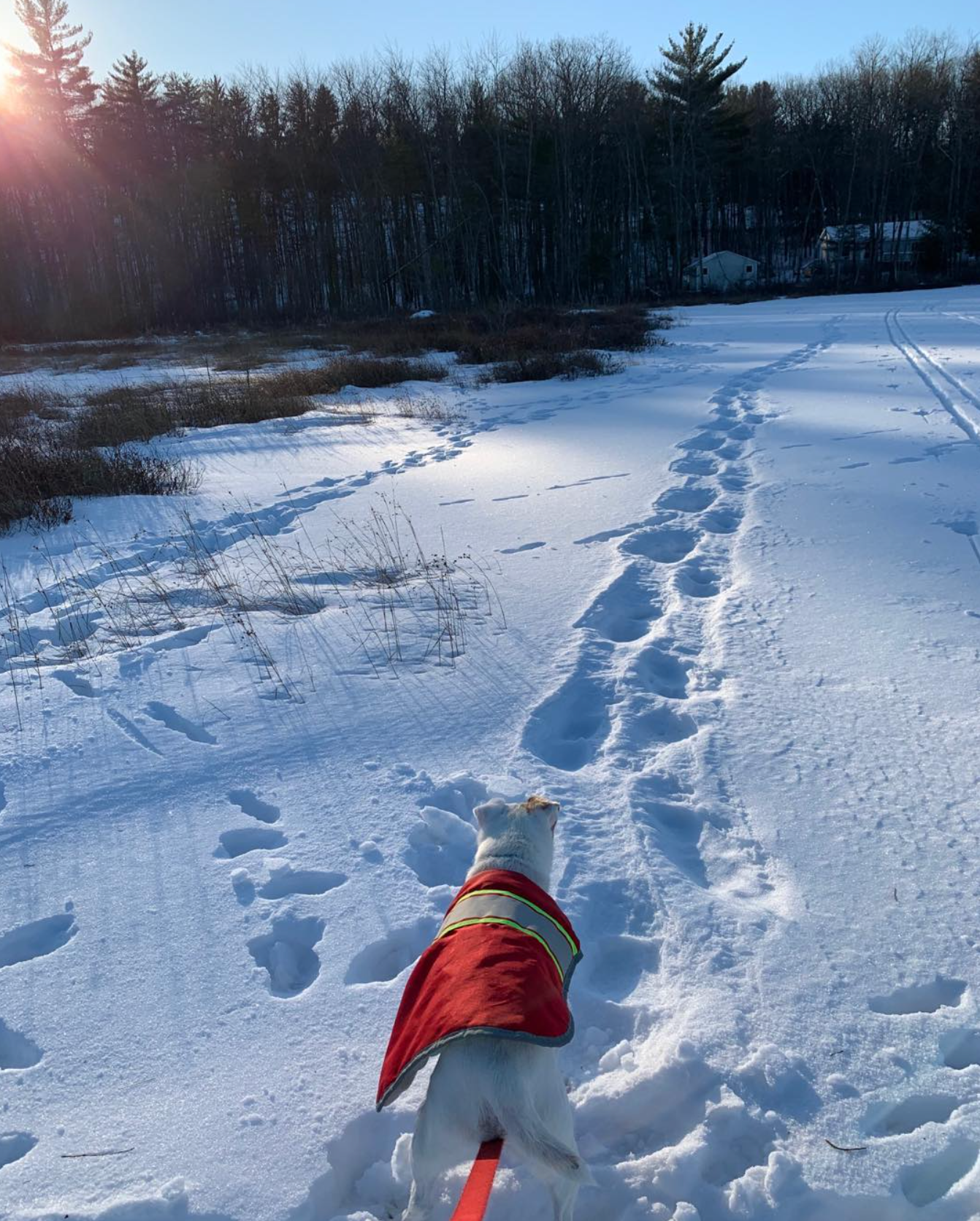 Snow Pond Walk w Judee Queen Grandma