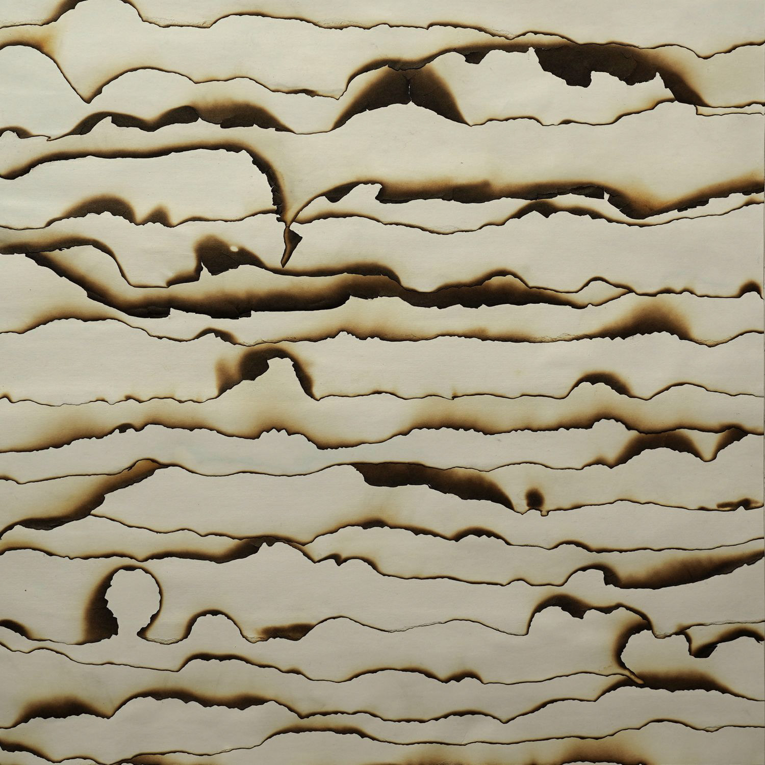 中山美咲　ケント紙を帯状に裂いて燃やし、重ねて貼り付けた