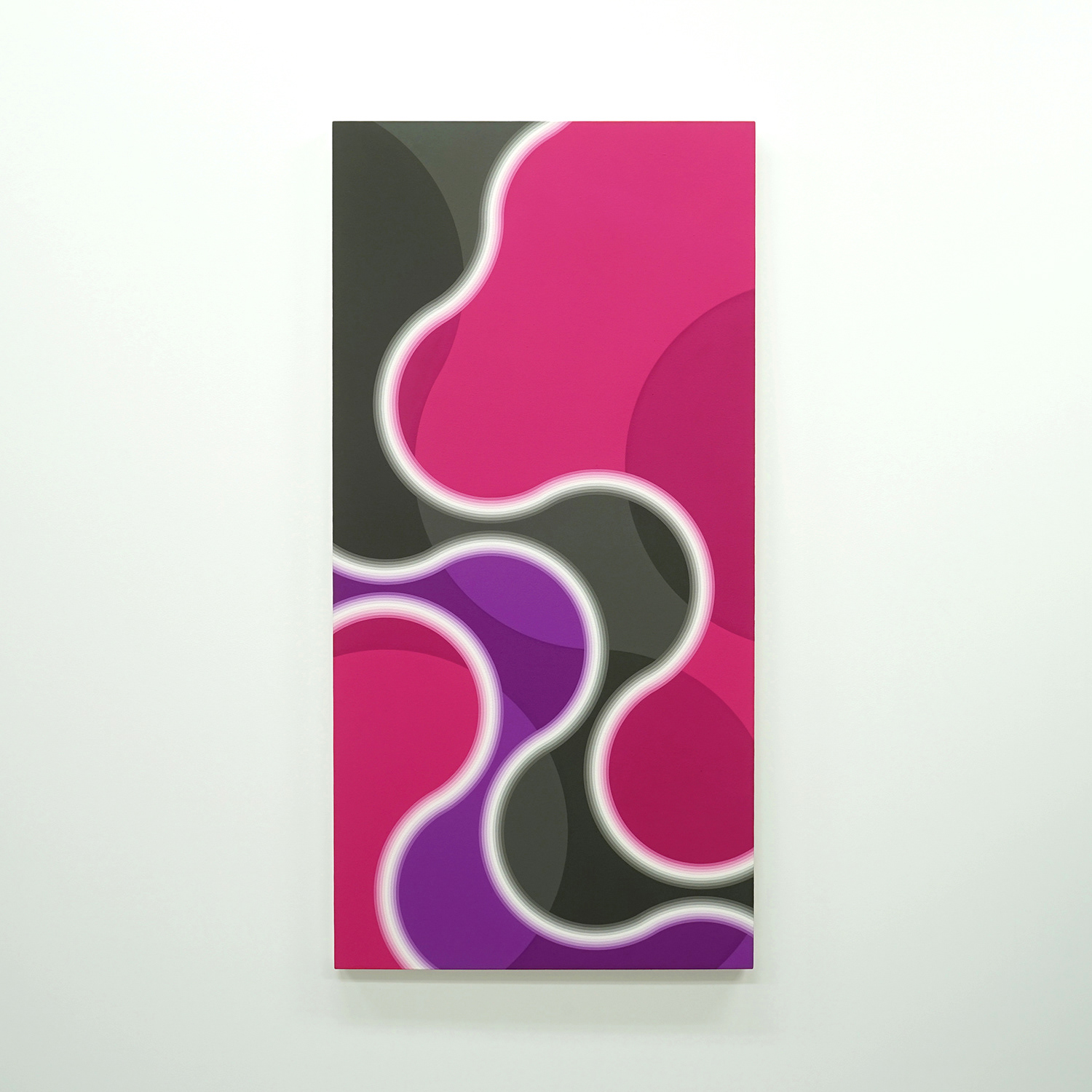 "1103-3" 2011 acrylic gouache on canvas 120 x 60cm