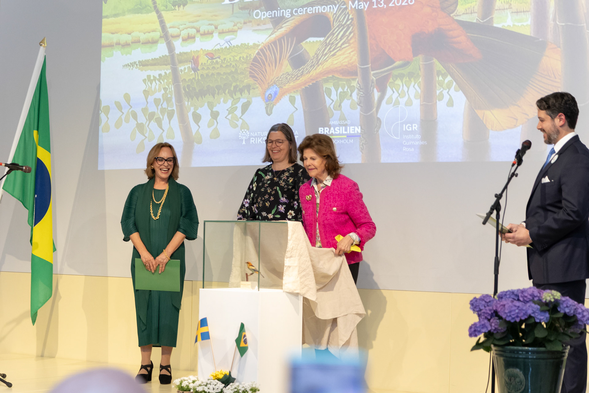 Queen Silvia of Sweden - Birds of Brazil © Isabella Ramalho
