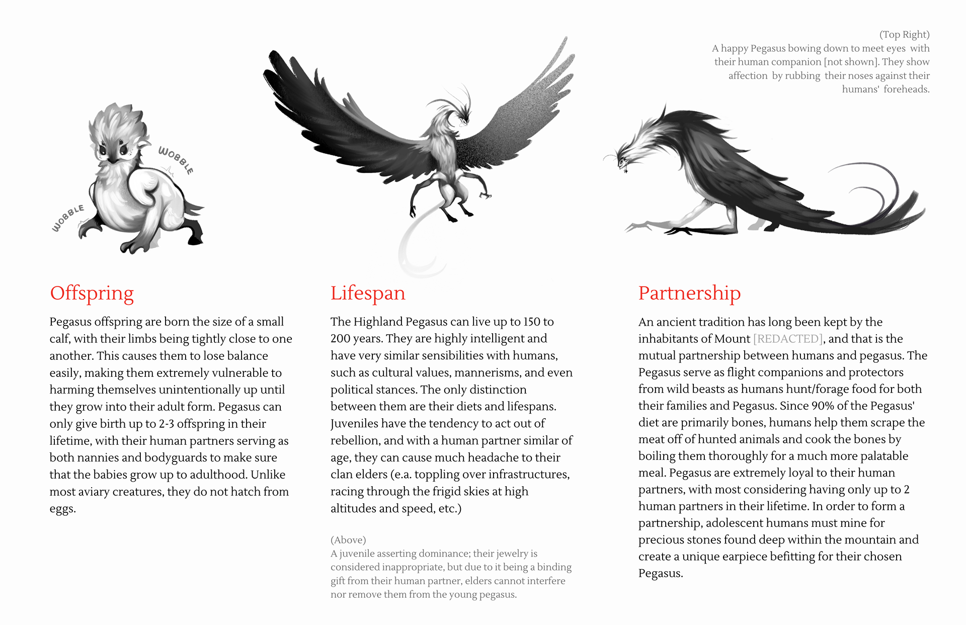 Pegasus- Creature Design