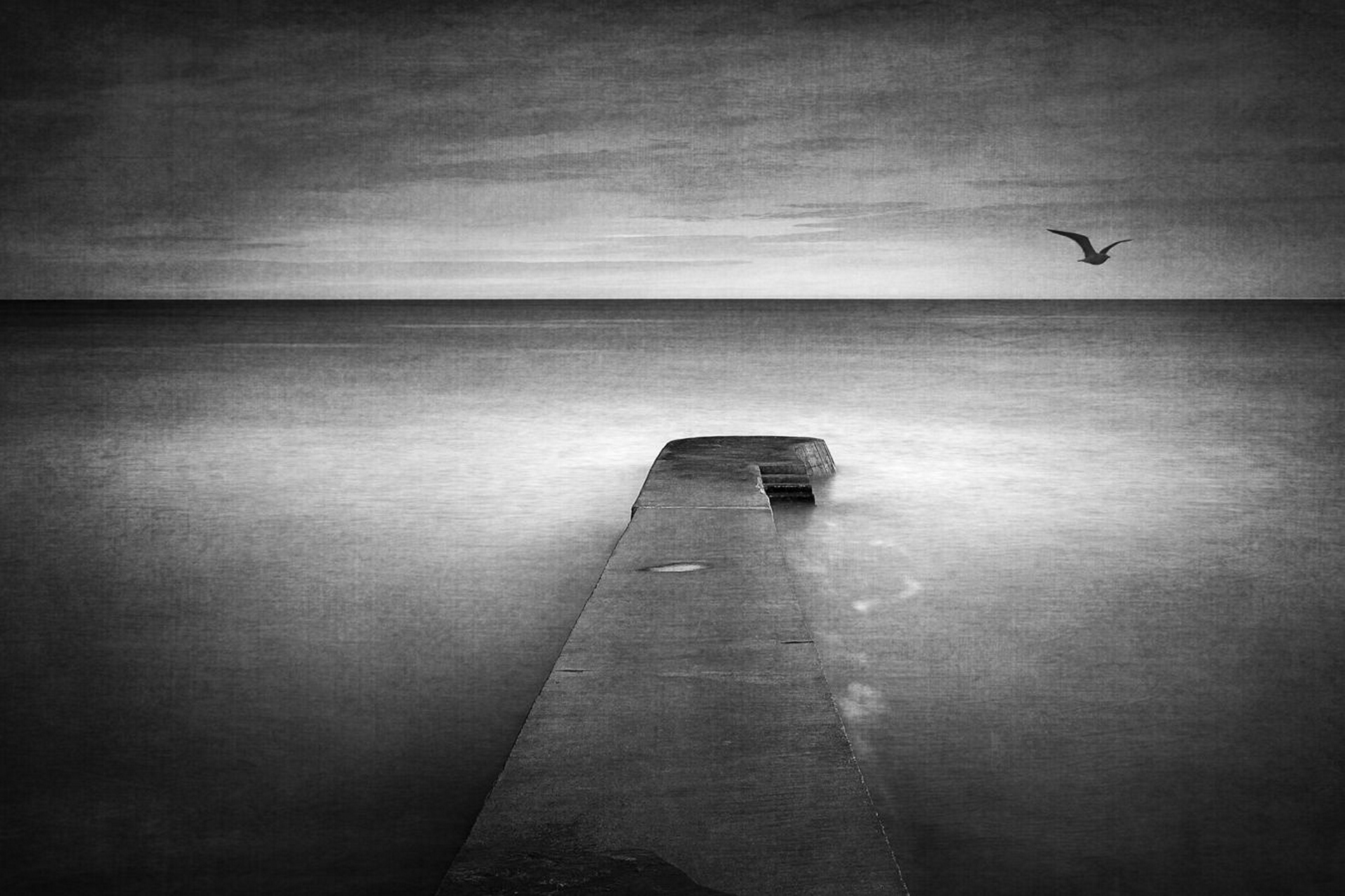 Immensité